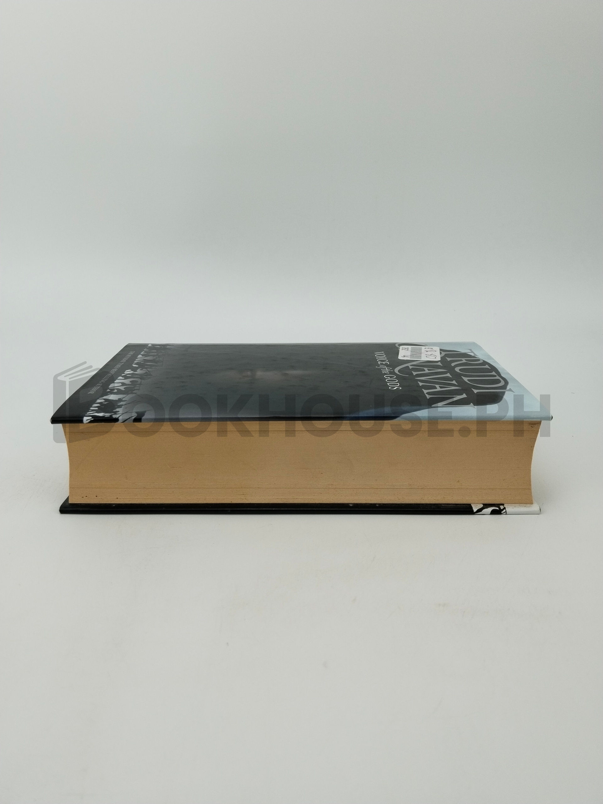 Voice Of The Gods by Trudi Canavan - Image 4