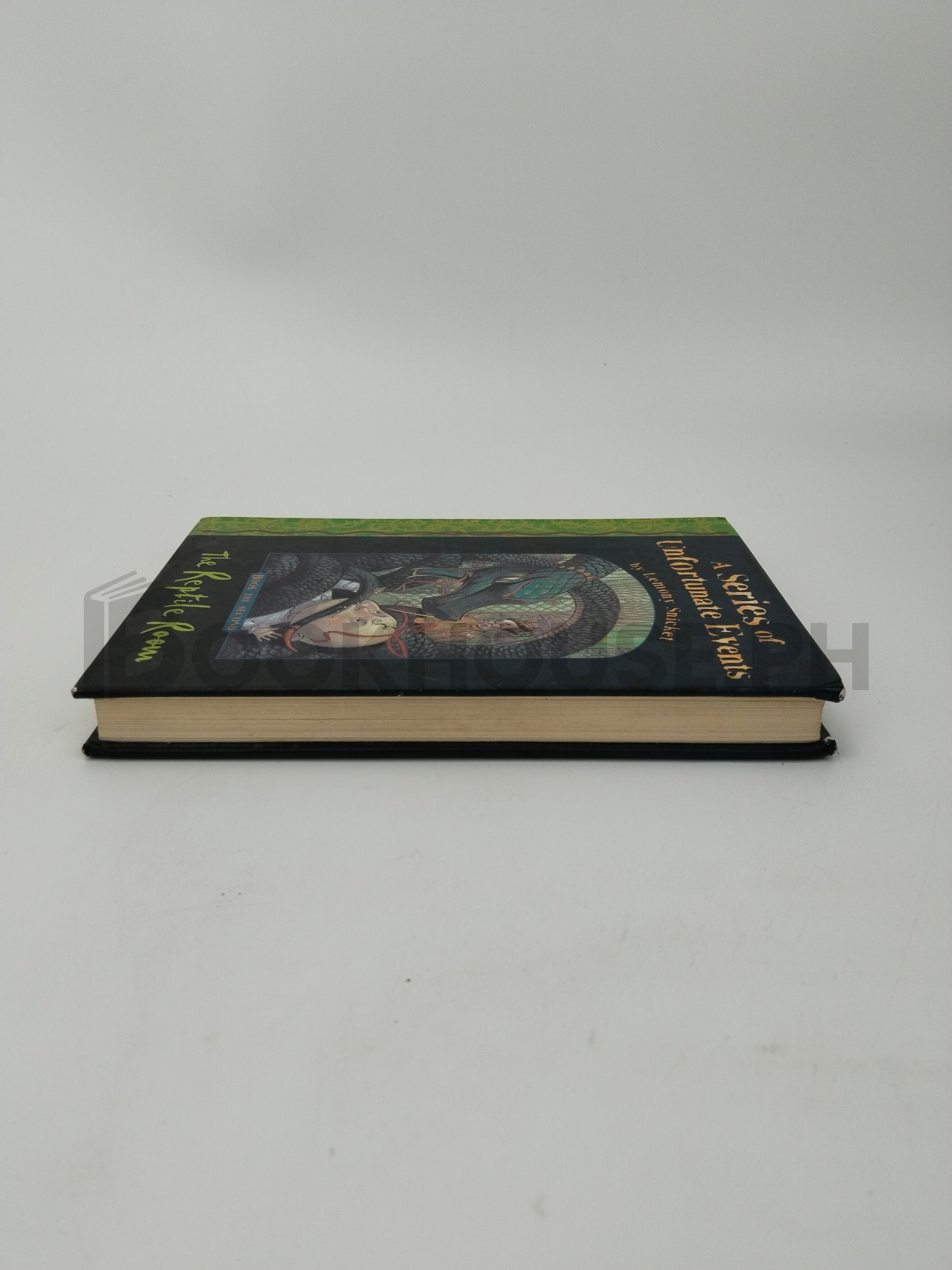 The Reptile Room by Lemony Snicket - Image 4