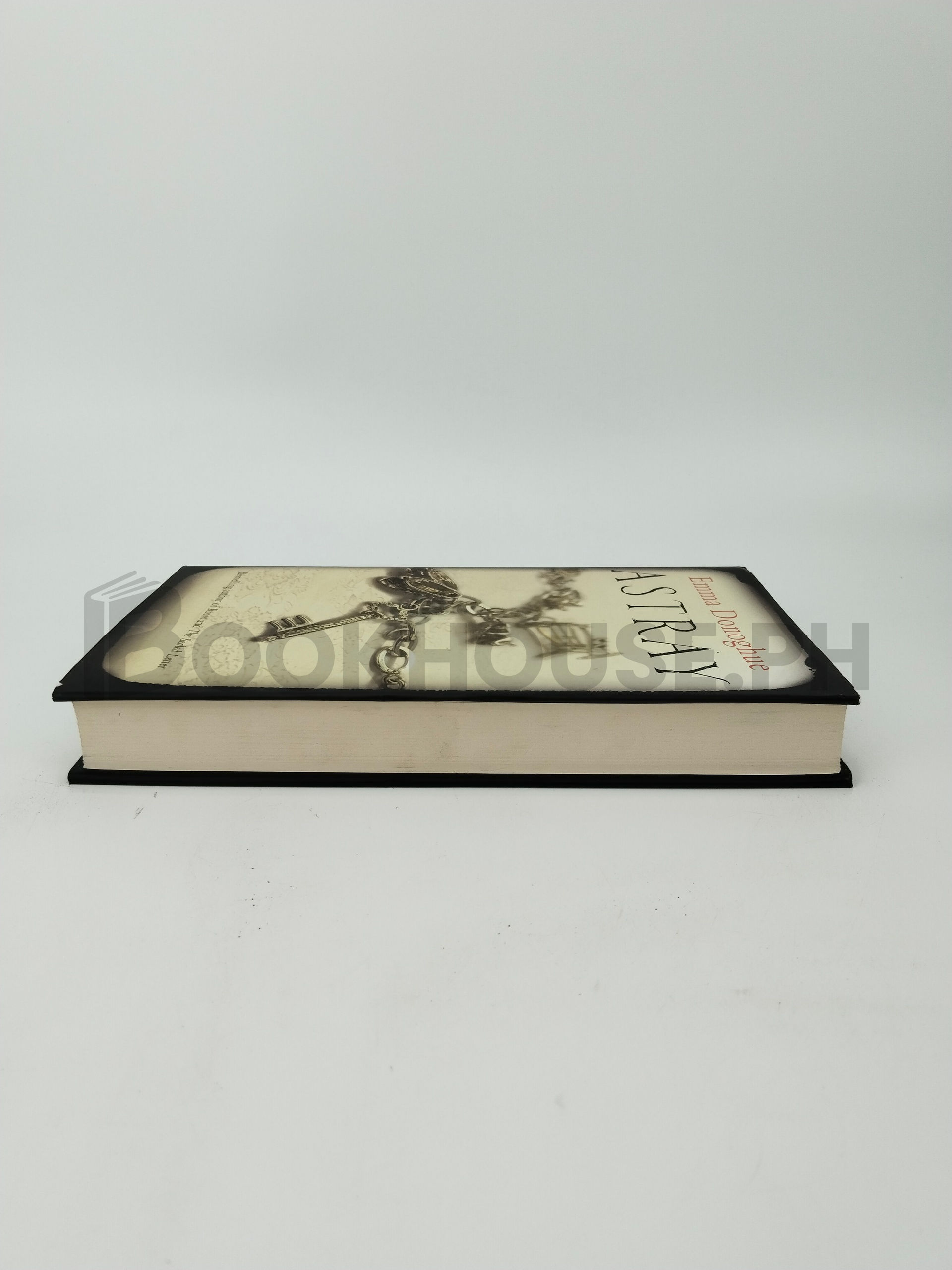 Astray by Emma Donoghue - Image 4