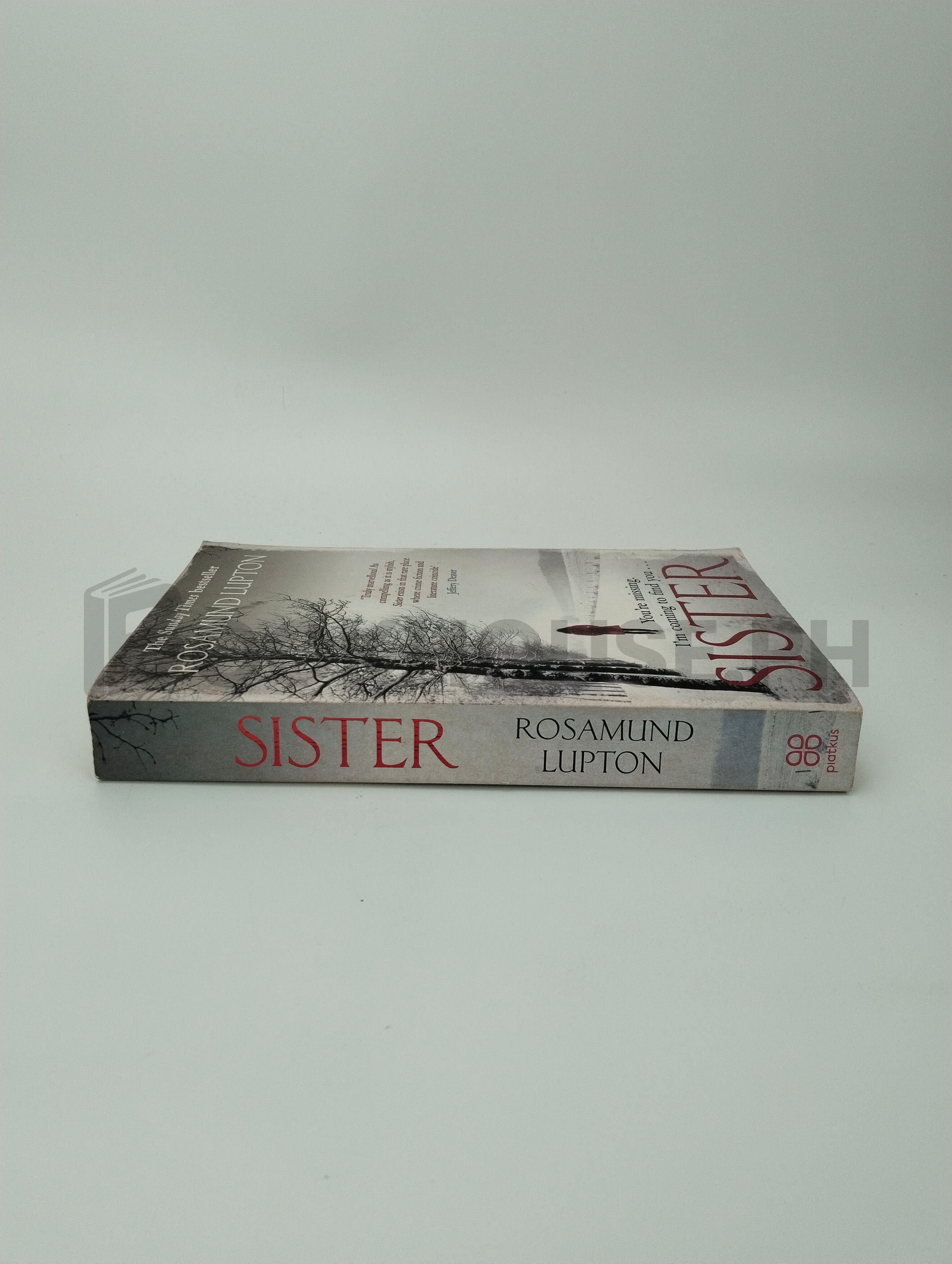 Sister by Rosamund Lupton - Image 3
