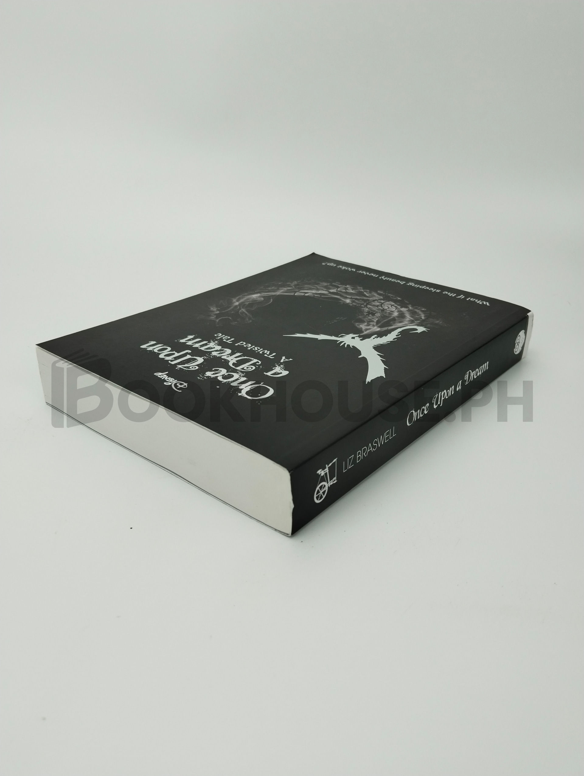 Sleeping Beauty: Once Upon A Dream by Liz Braswell - Image 2