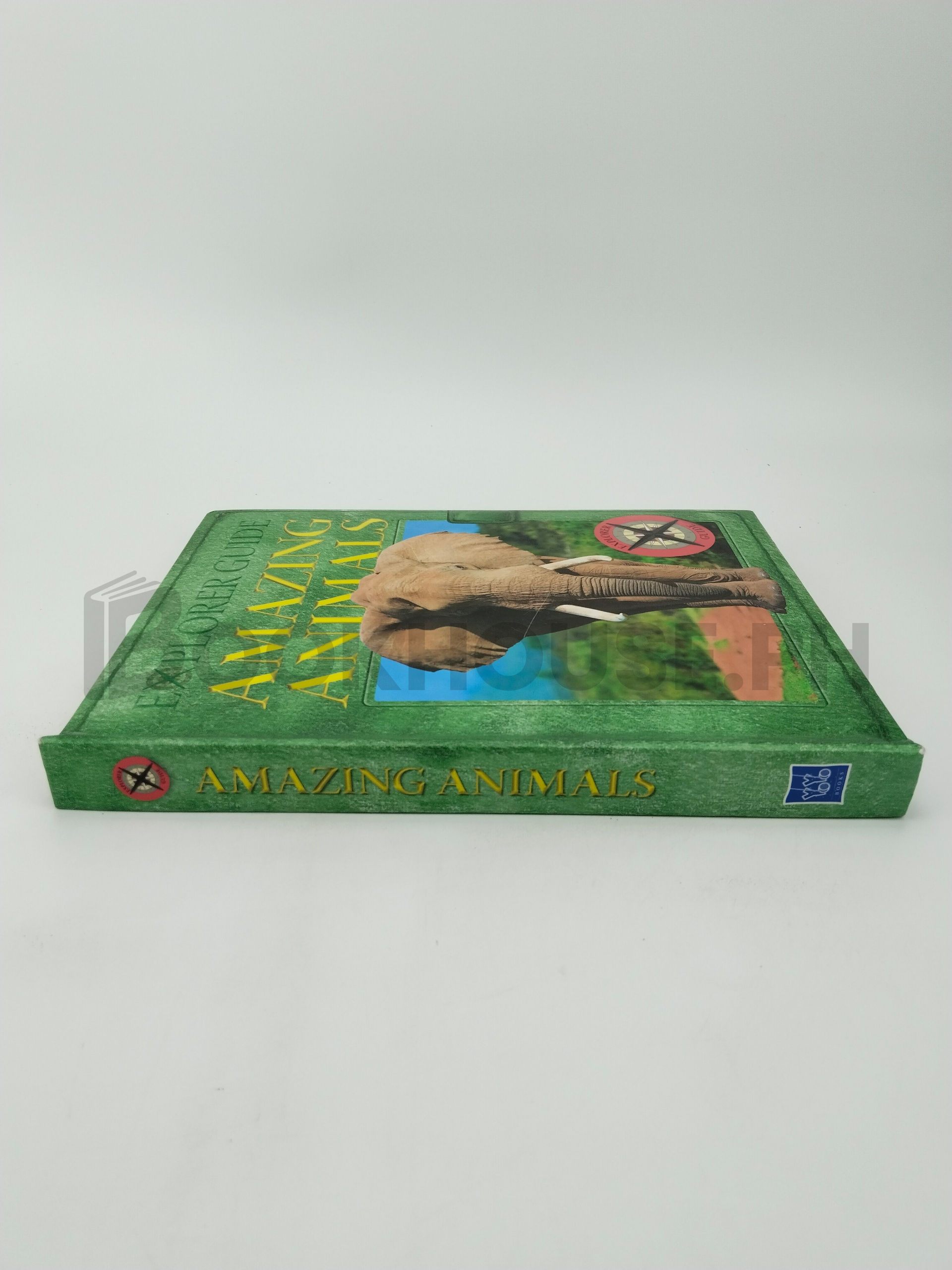 Explorer Guide Amazing Animals by Yoyo Books - Image 3