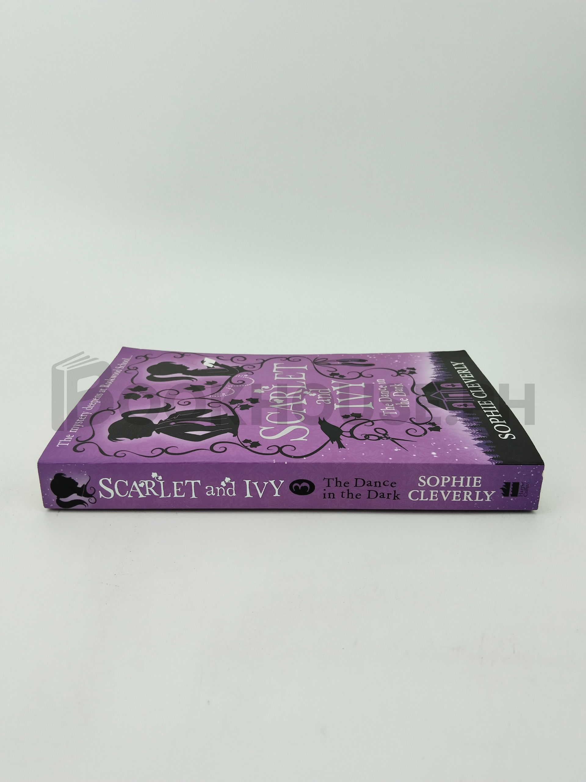 The Dance In The Dark by Sophie Cleverly - Image 3