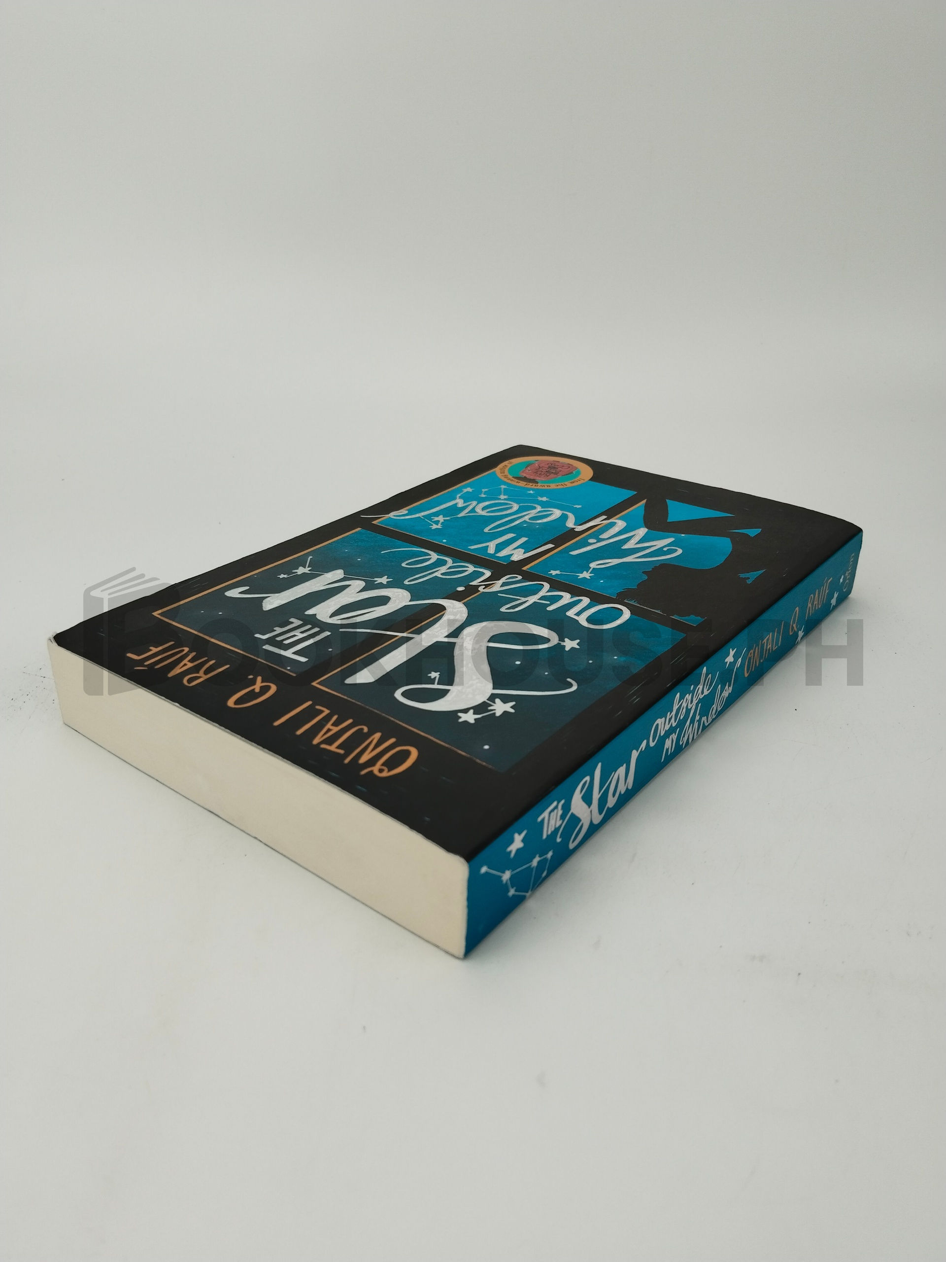 The Star Outside My Window by Onjali Q. Rauf - Image 2