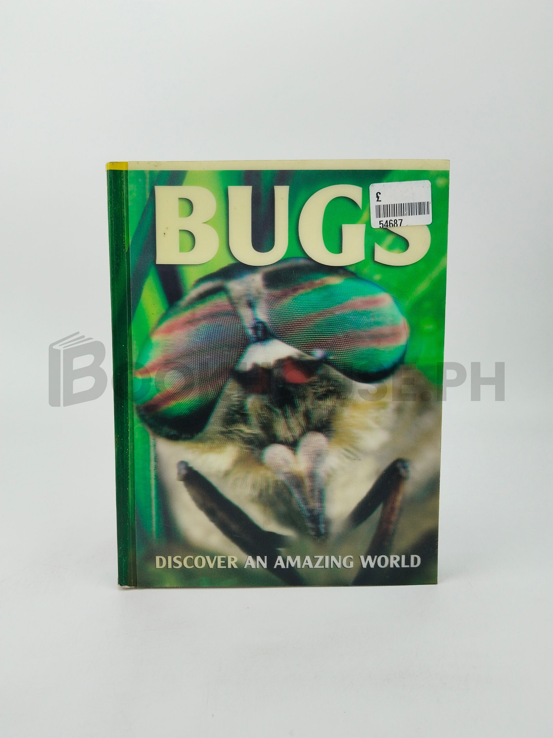 Bugs by Barbara Taylor