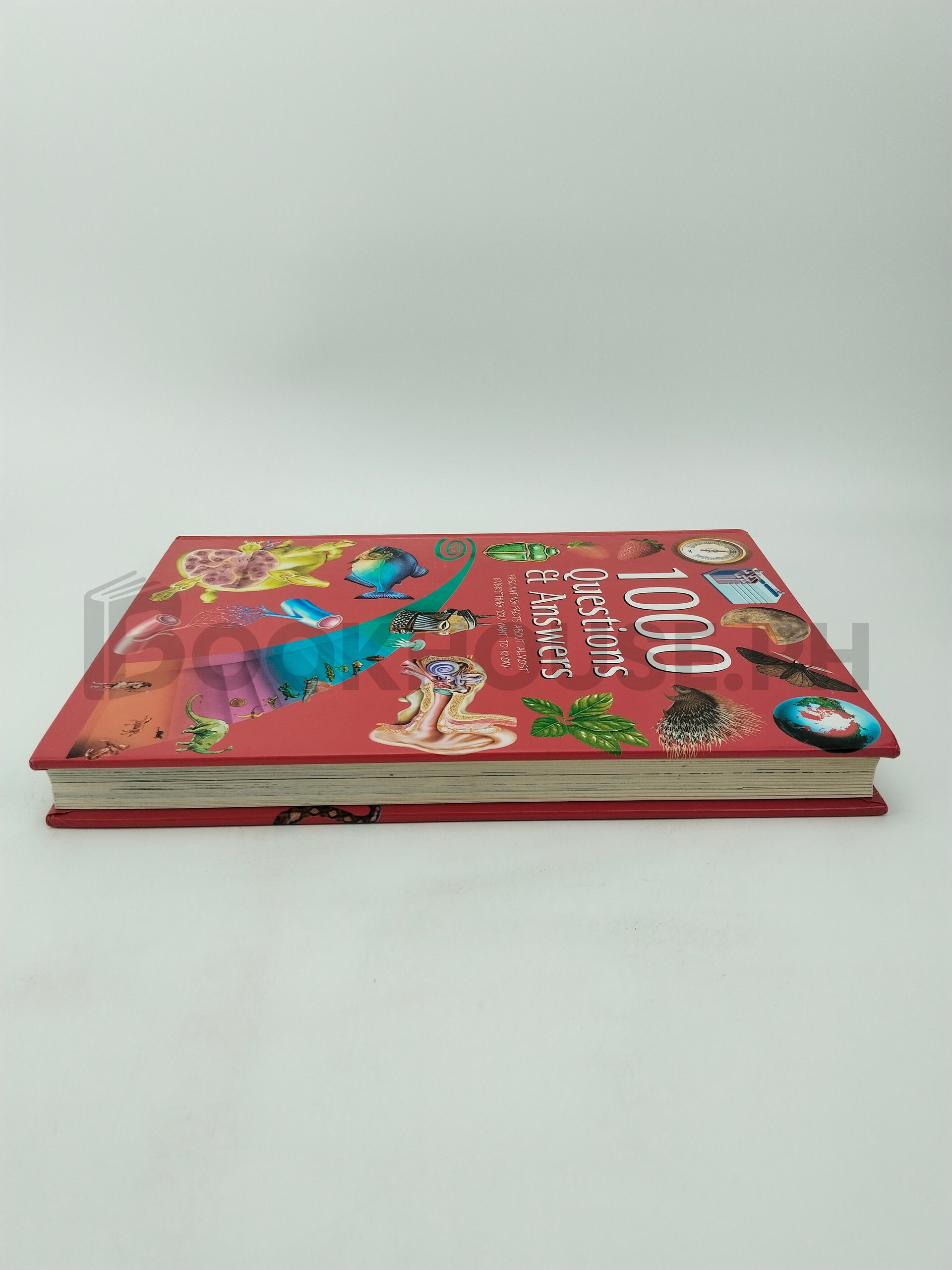 1000 Questions And Answers by Linda Sonntag - Image 4