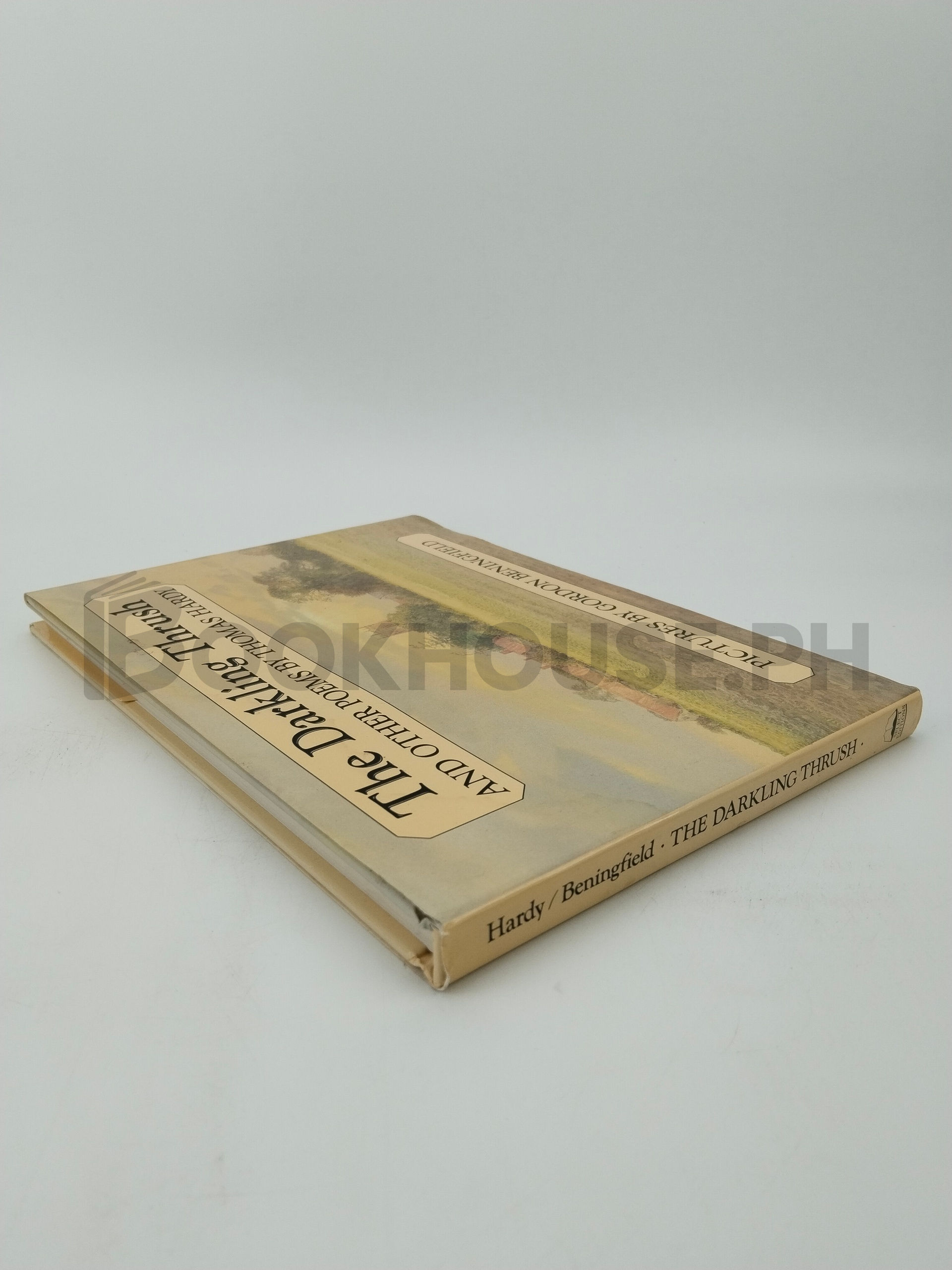 The Darkling Thrush by Thomas Hardy - Image 2