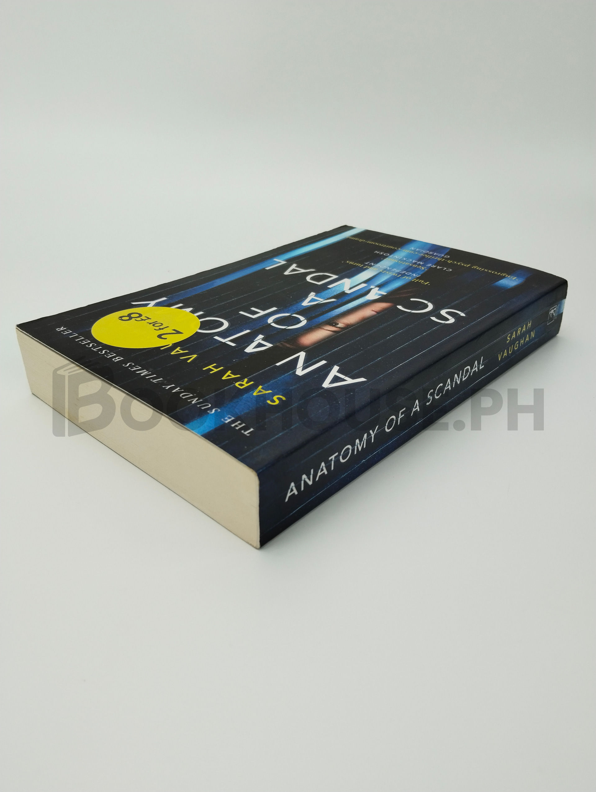 Anatomy Of A Scandal by Sarah Vaughan - Image 2