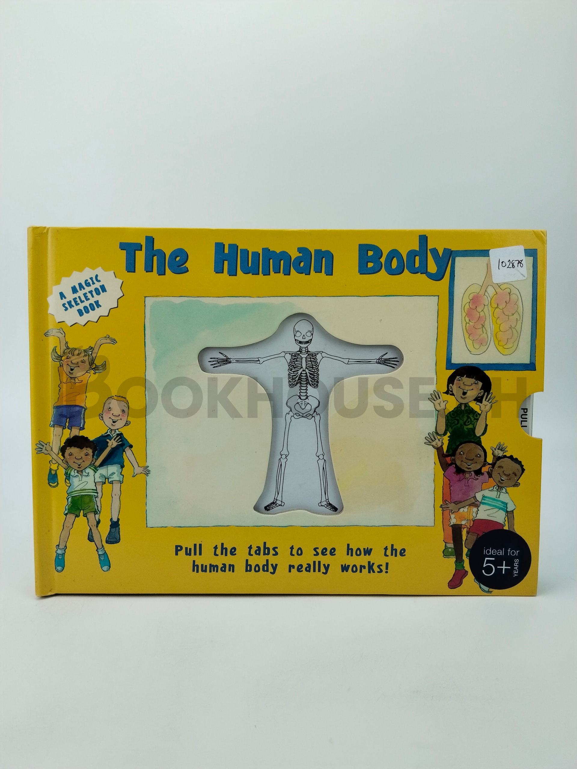 The Human Body Pull The Tabs To See How The Human Body Really Works by Marks & Spencer