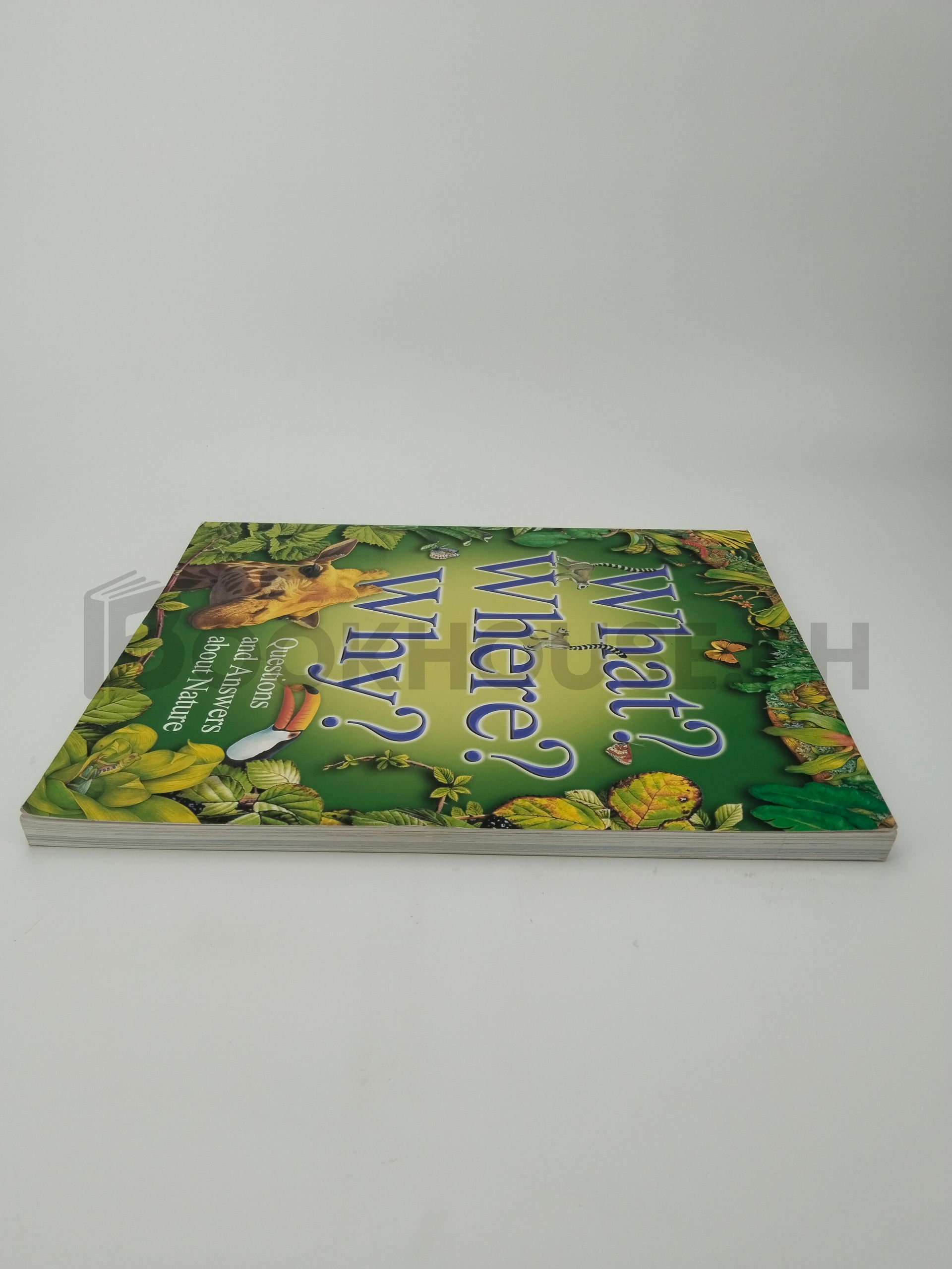 What? Where? Why? by Jim Bruce - Image 4