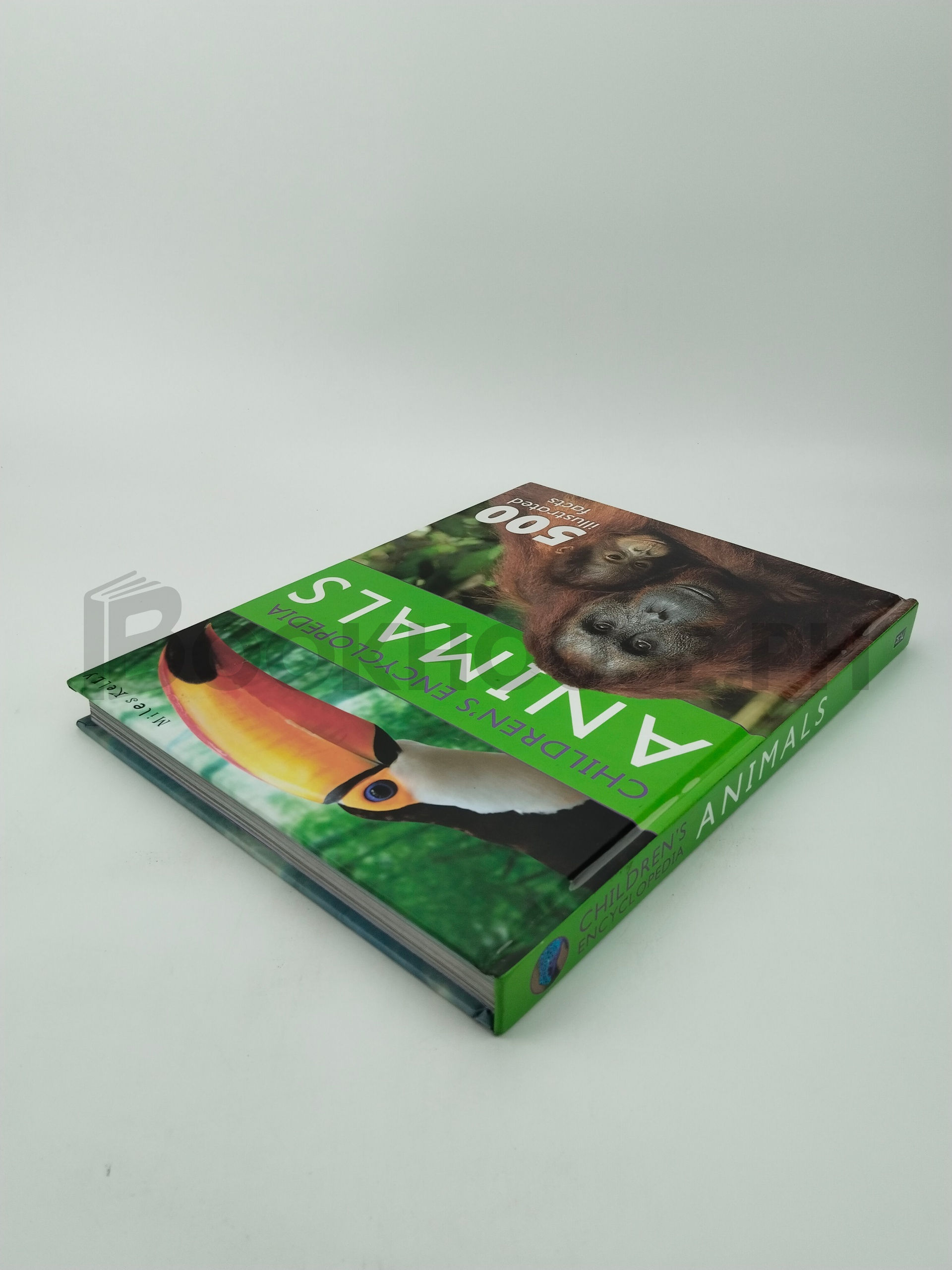 Animals by Fran Bromage, Amy Johnson, Sarah Parkin, Claire Philip, Camilla De La Bédoyère, Gallagher Belinda, Jinny Johnson, Ann Kay, Steve Parker - Image 2