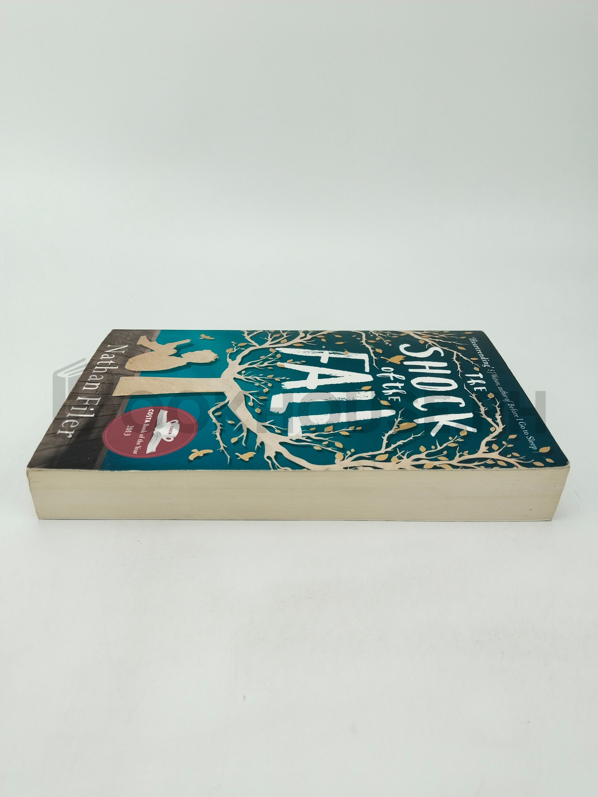 The Shock Of The Fall by Nathan Filer - Image 4