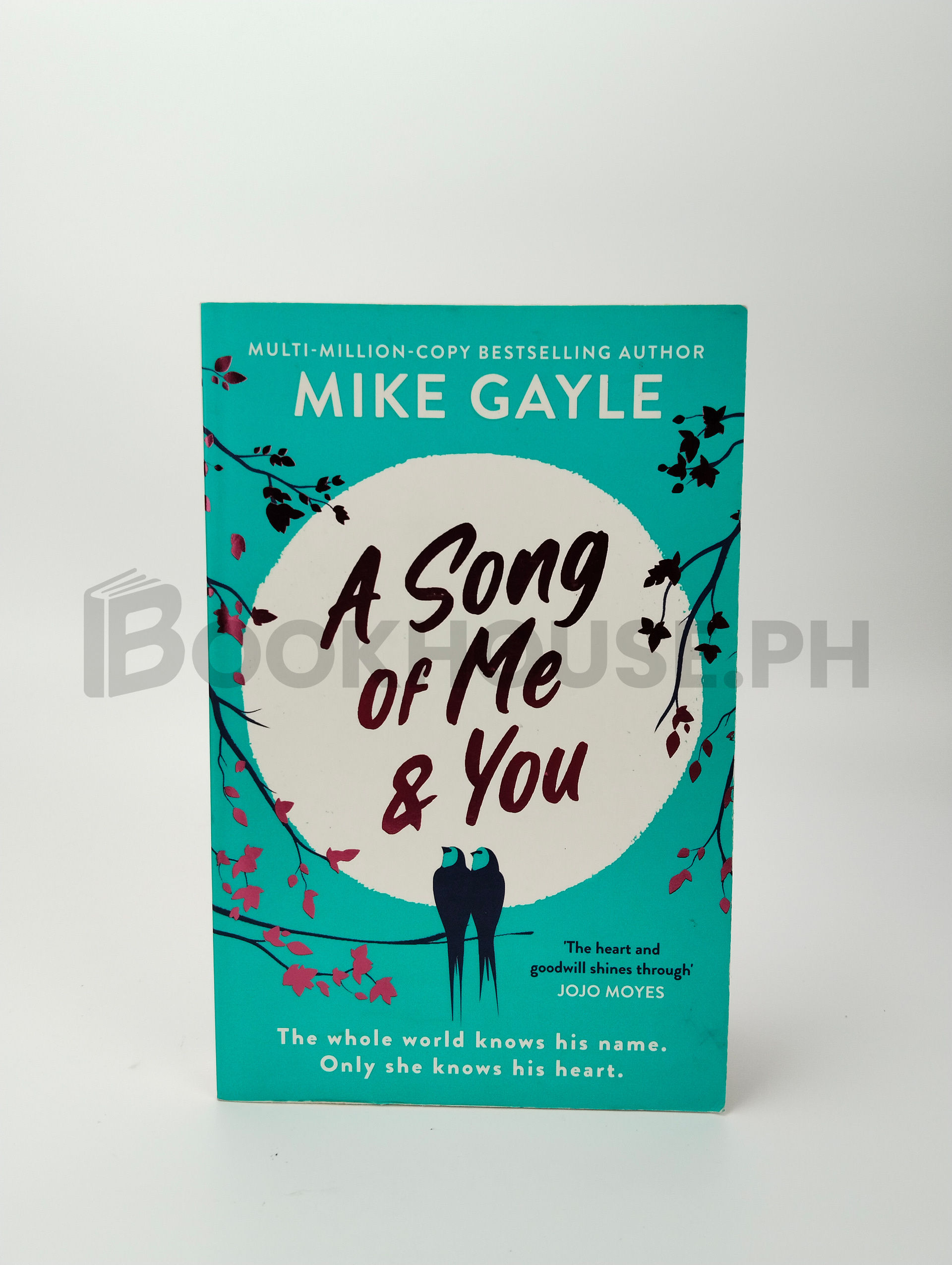 A Song Of Me & You by Mike Gayle