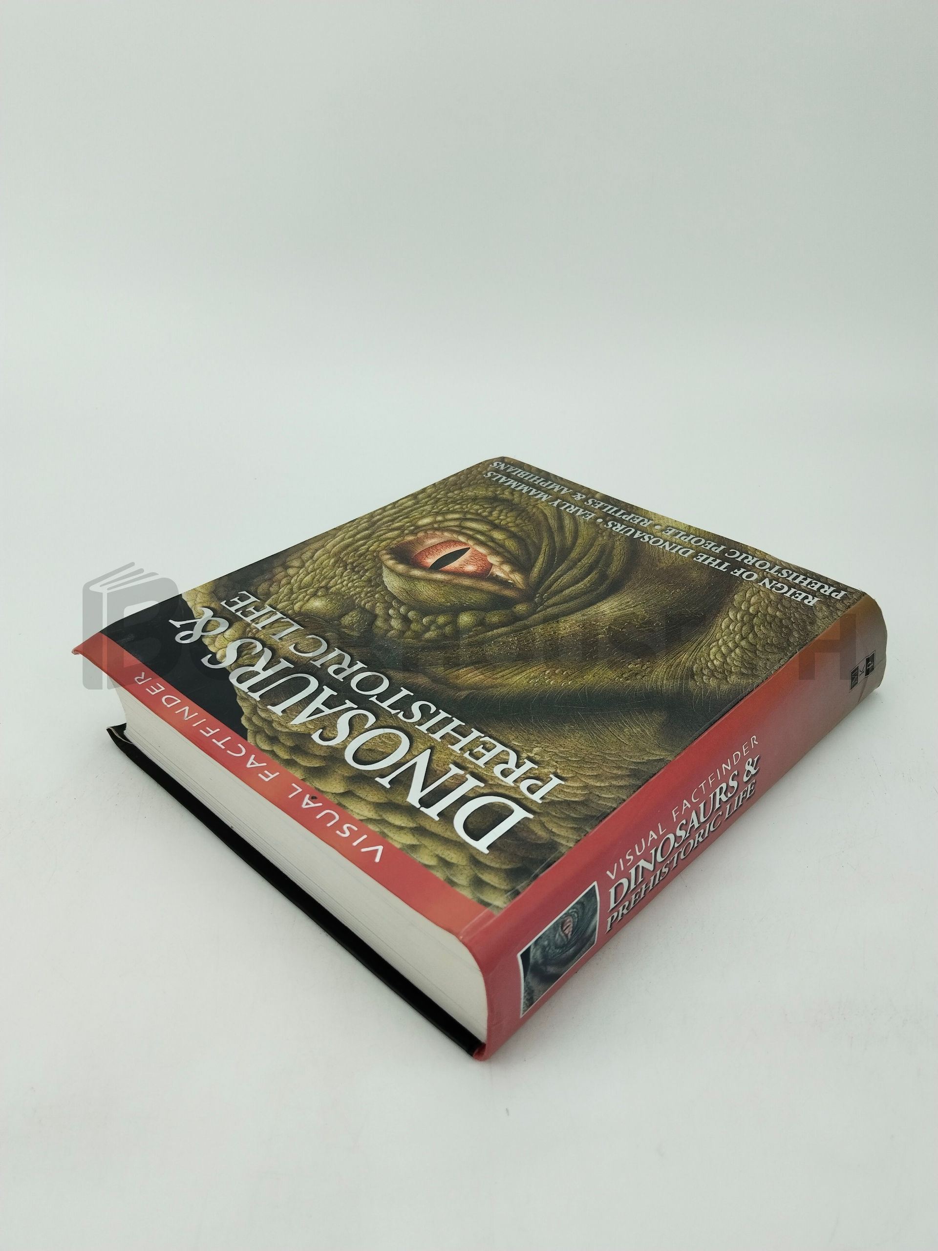 Dinosaurs & Prehistoric Life by Andrew Campbell, Steve Parker - Image 2