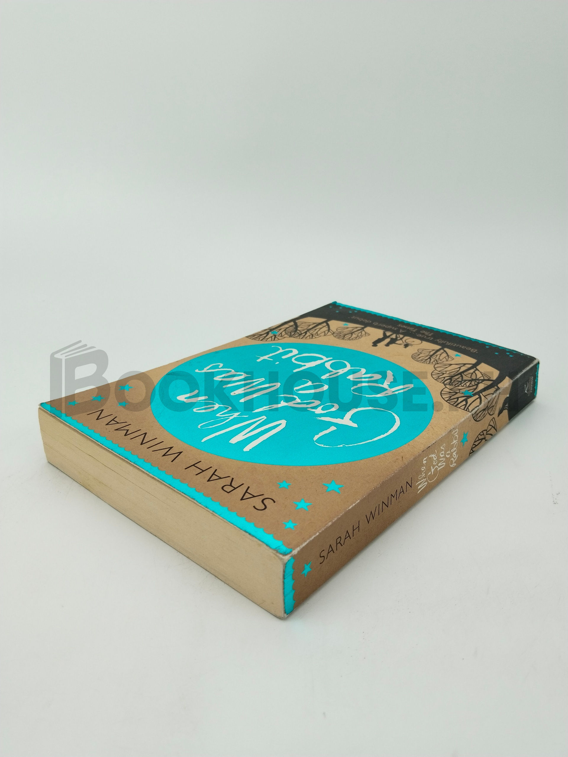 When God Was A Rabbit by Sarah Winman - Image 2