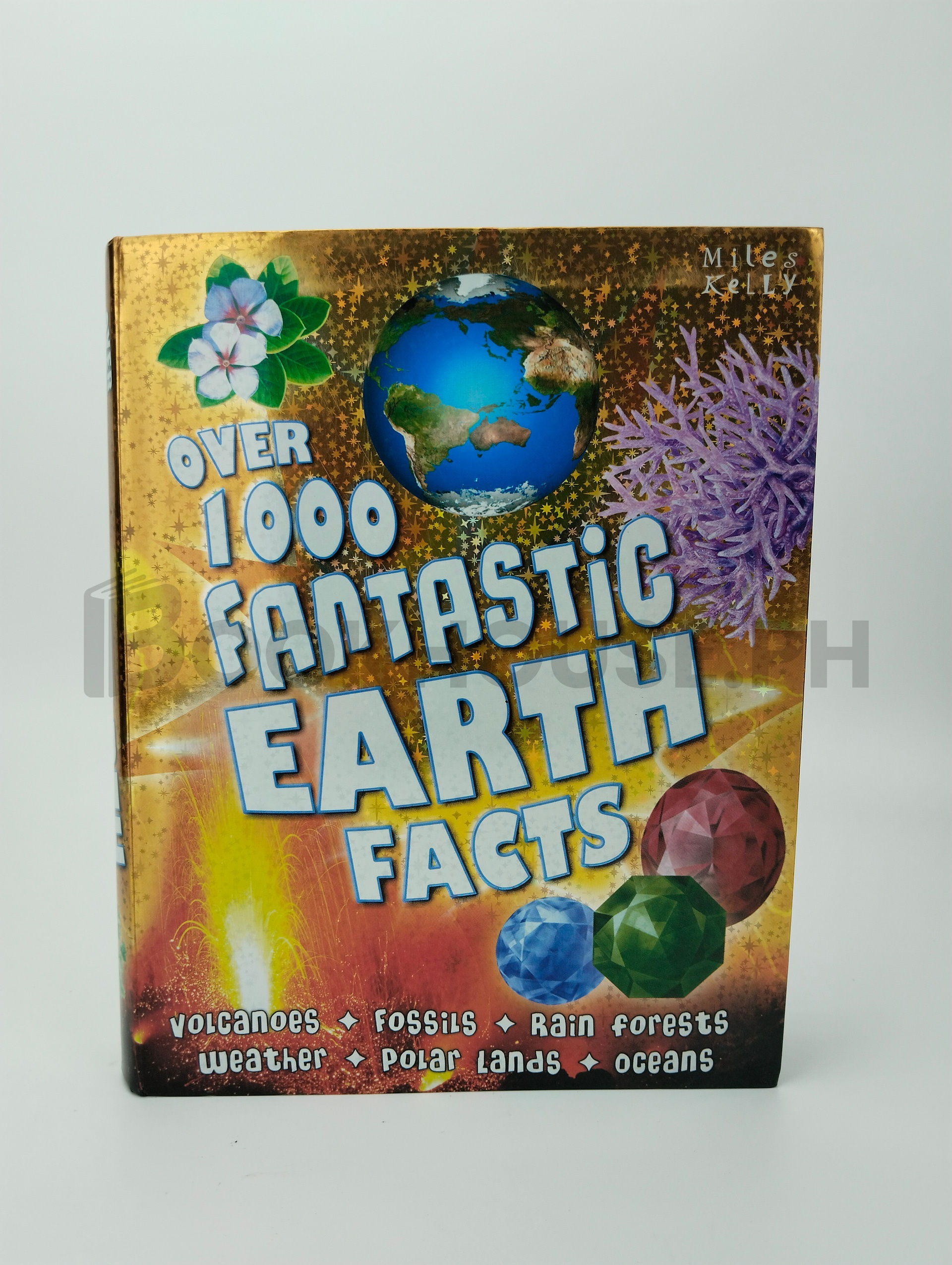 Over 1000 Fantastic Earth Facts by Belinda Gallagher
