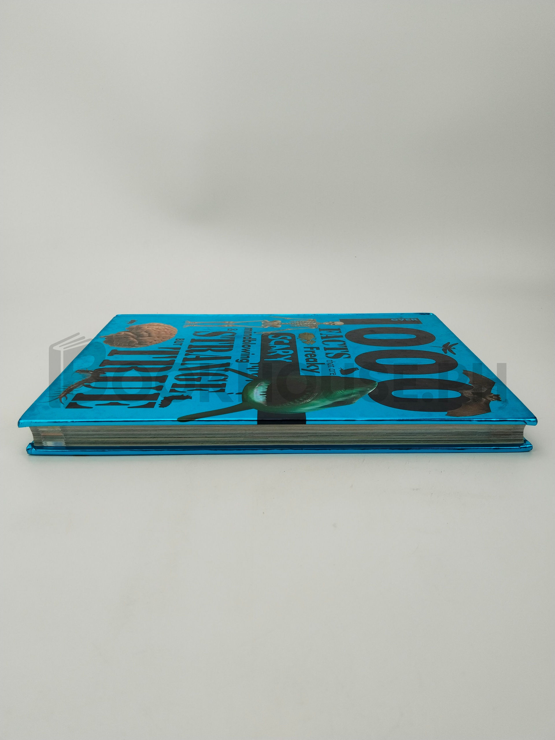 Over 1000 Facts That Are Freaky Scary Mindblowing & Strange But True by John Guest - Image 4