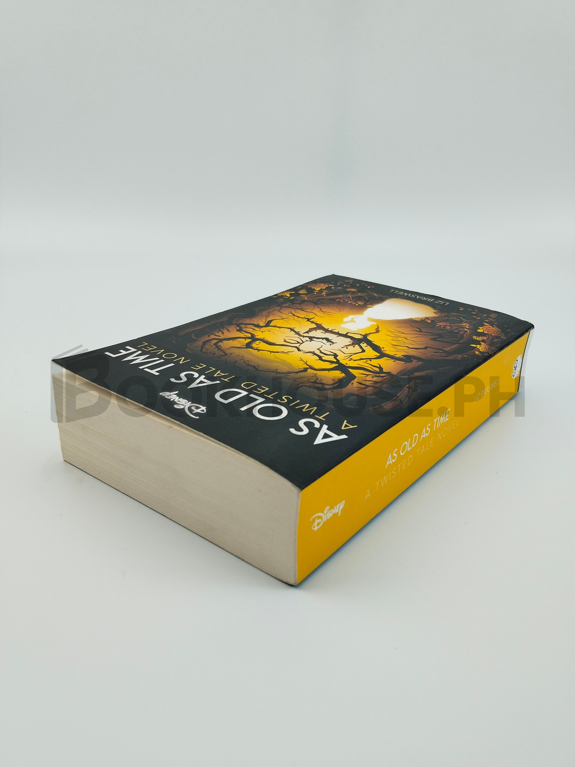 Disney Princess Beauty And The Beast: As Old As Time by Liz Braswell - Image 2