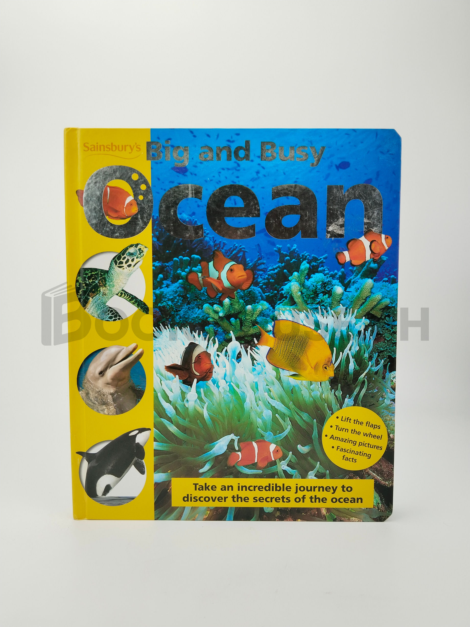 Big And Busy Ocean by Priddy Books