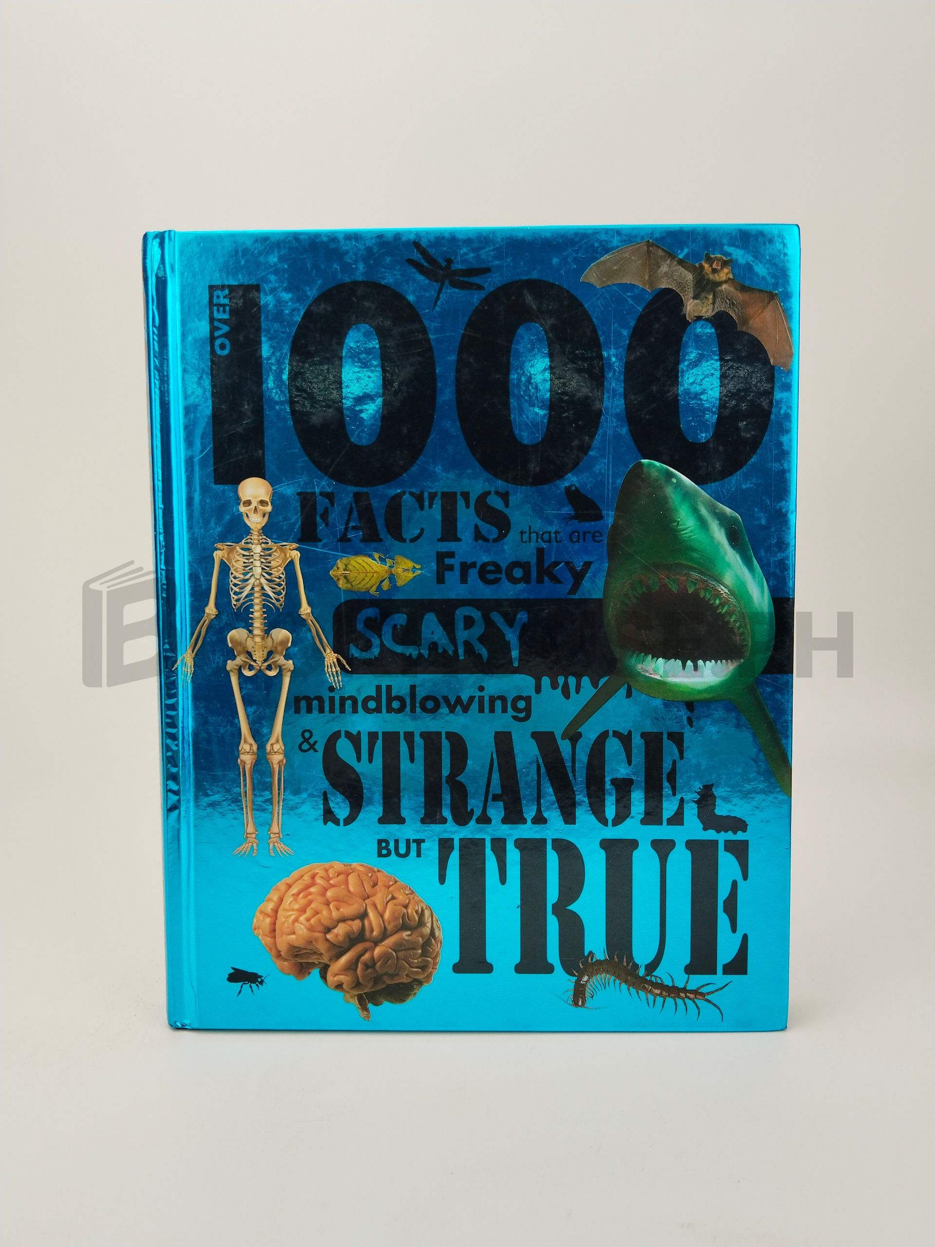 Over 1000 Facts That Are Freaky Scary Mindblowing & Strange But True by John Guest