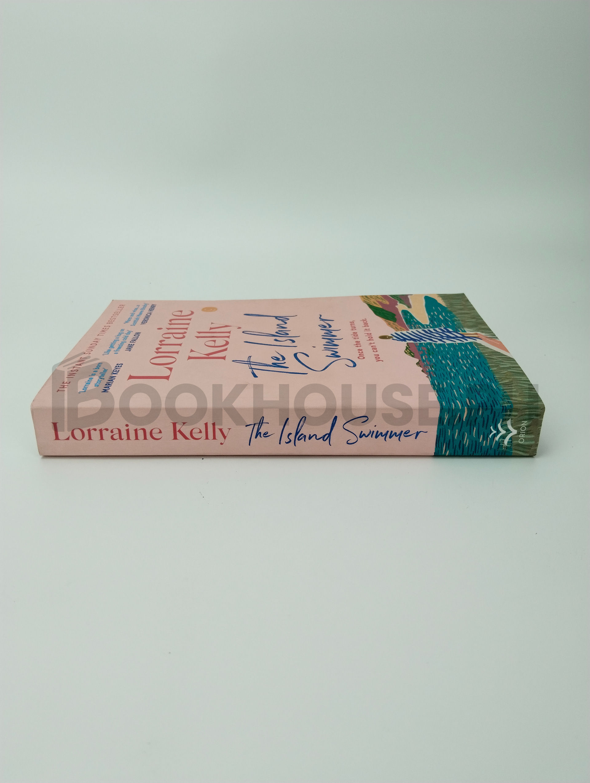The Island Swimmer by Lorraine Kelly - Image 3