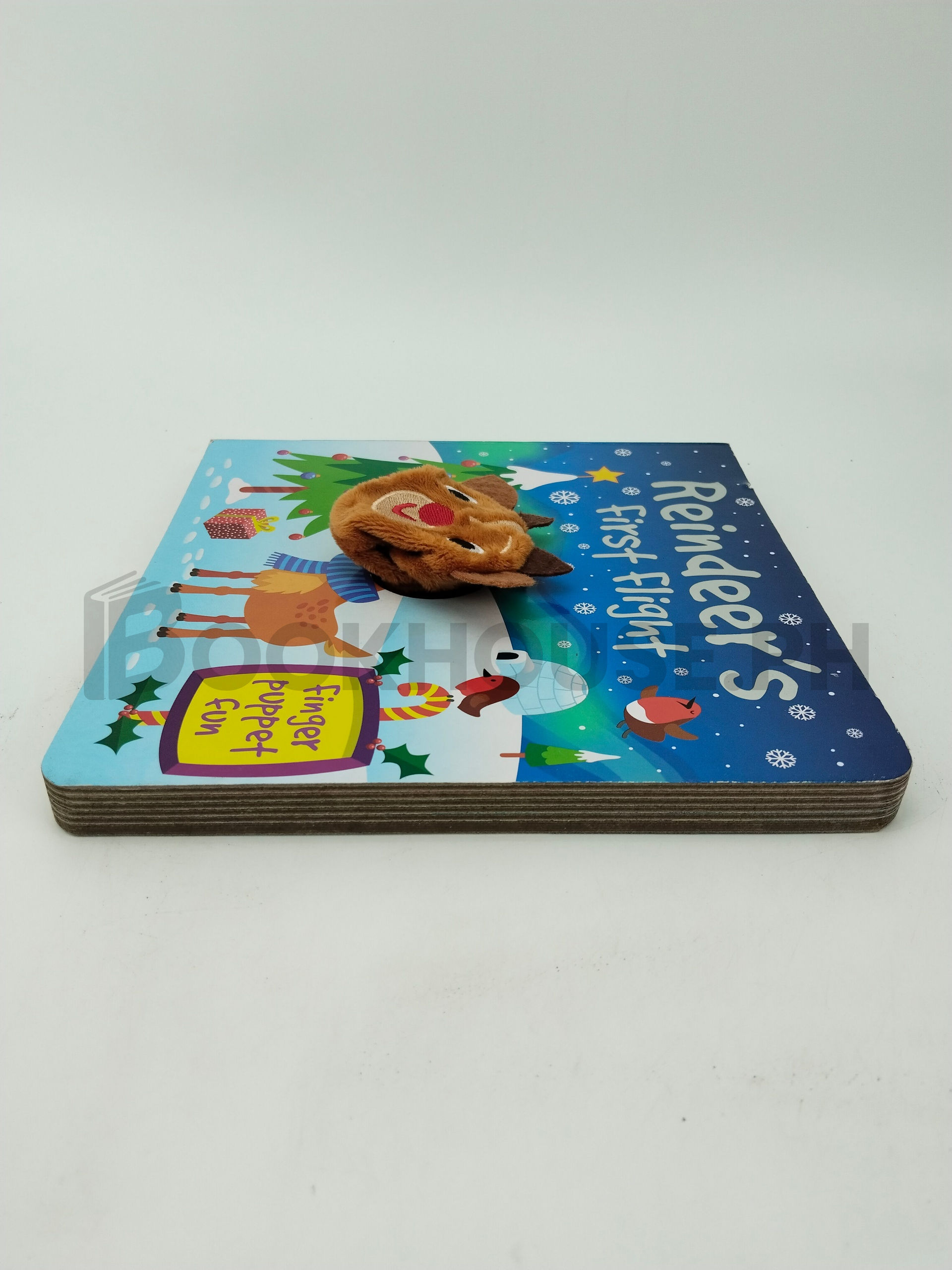 Reindeer's First Flight by Igloo Books - Image 4