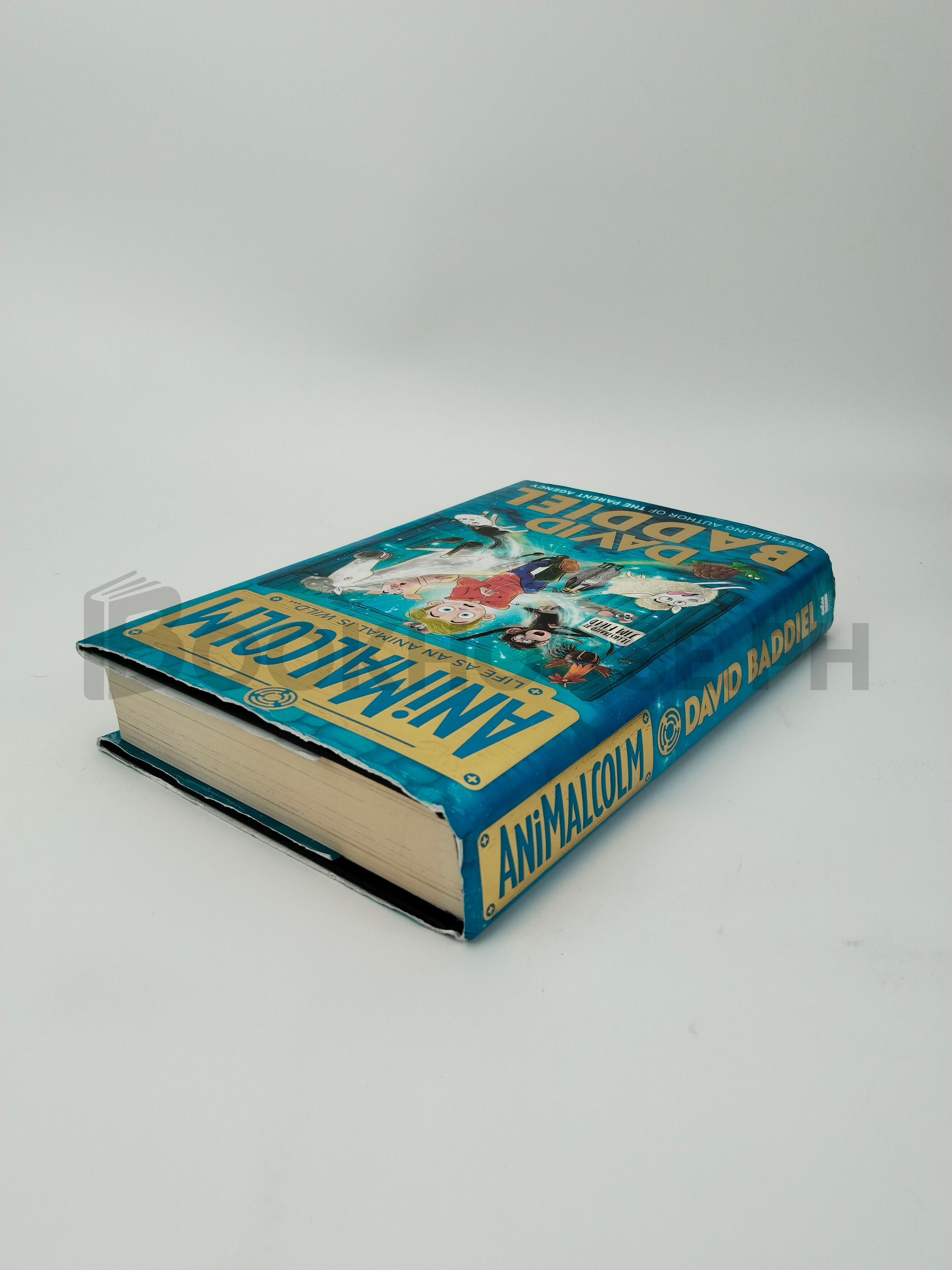 Animalcolm by David Baddiel - Image 2