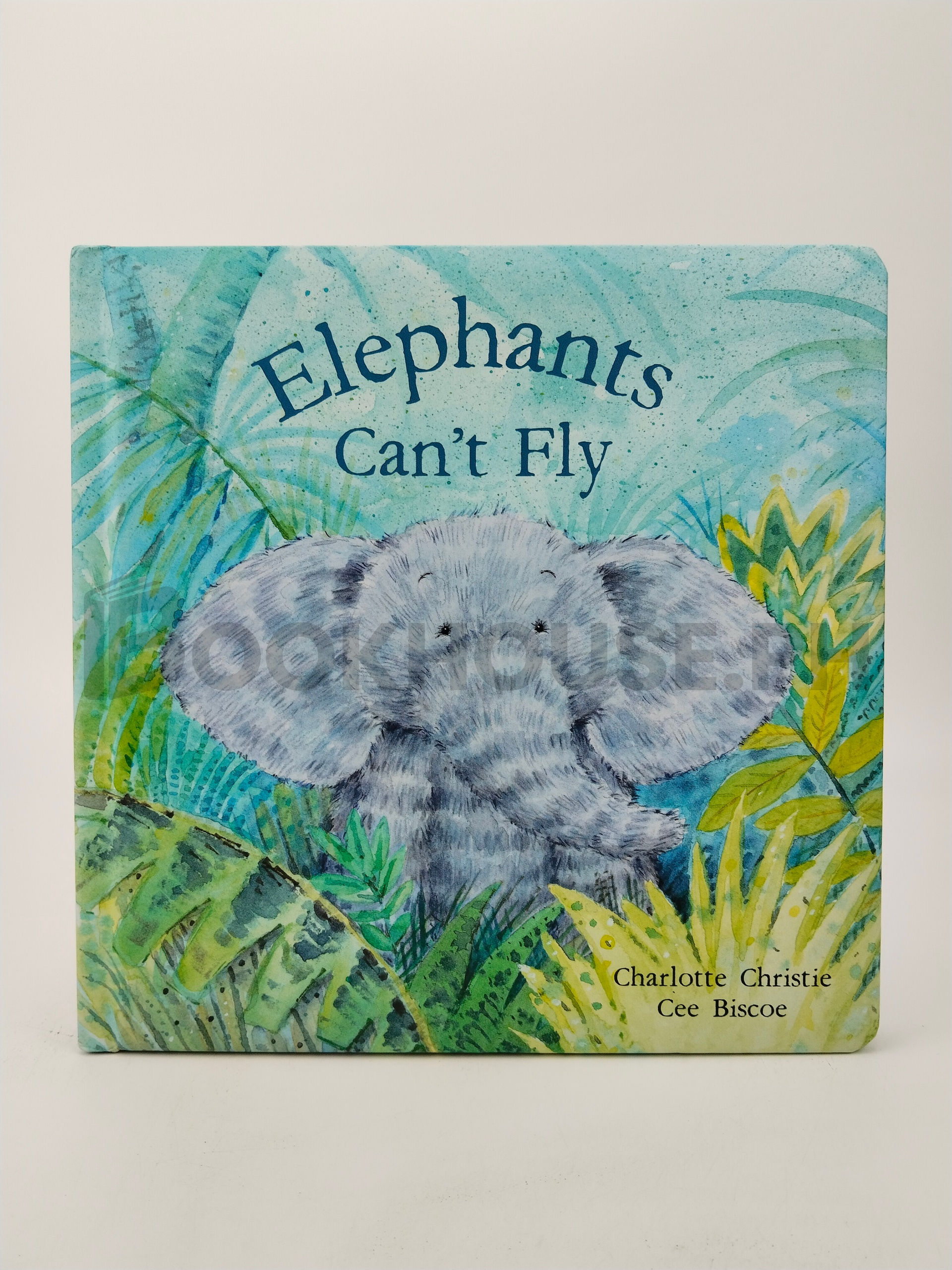 Elephants Can't Fly by Charlotte Christie, Cee Biscoe