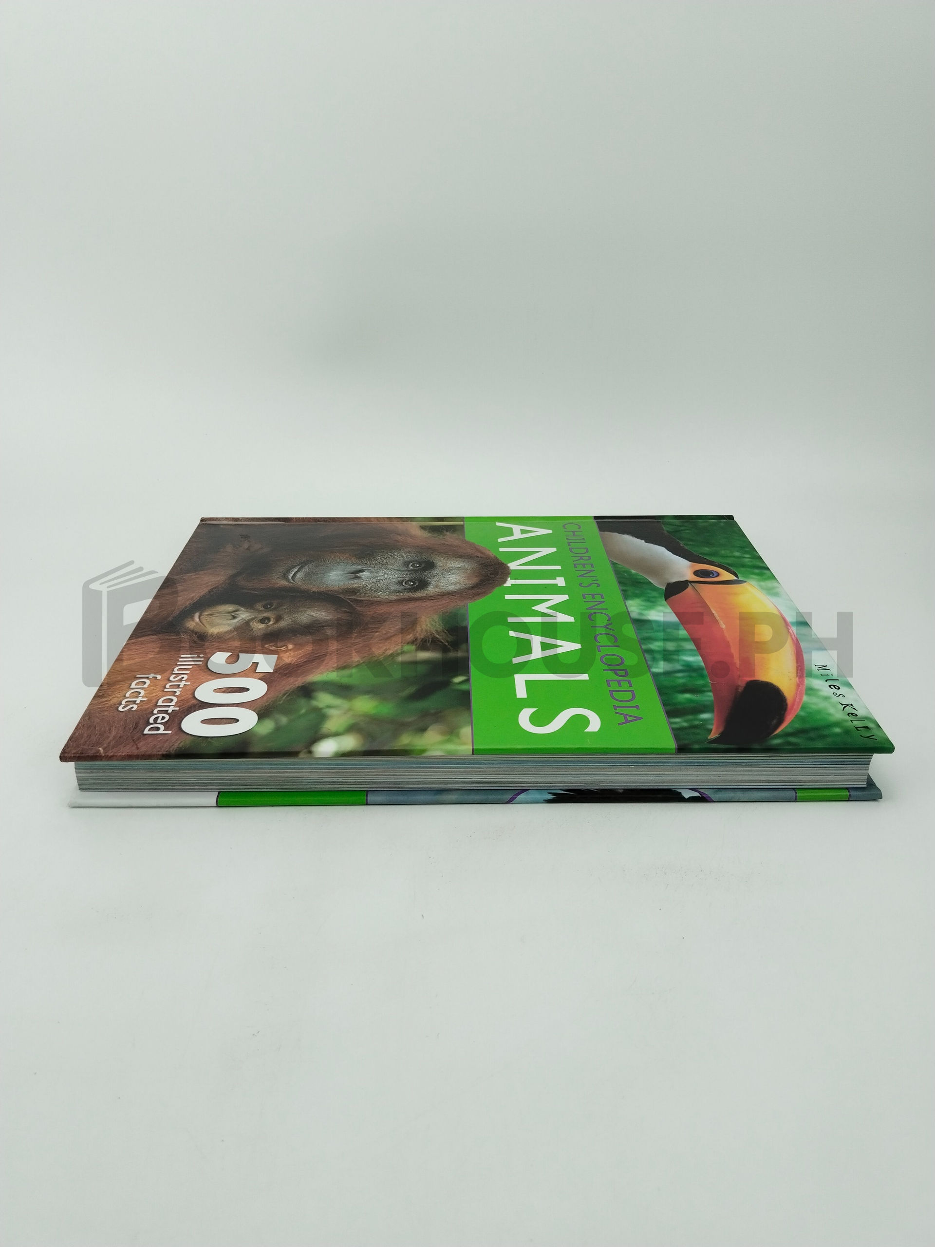 Animals by Fran Bromage, Amy Johnson, Sarah Parkin, Claire Philip, Camilla De La Bédoyère, Gallagher Belinda, Jinny Johnson, Ann Kay, Steve Parker - Image 4