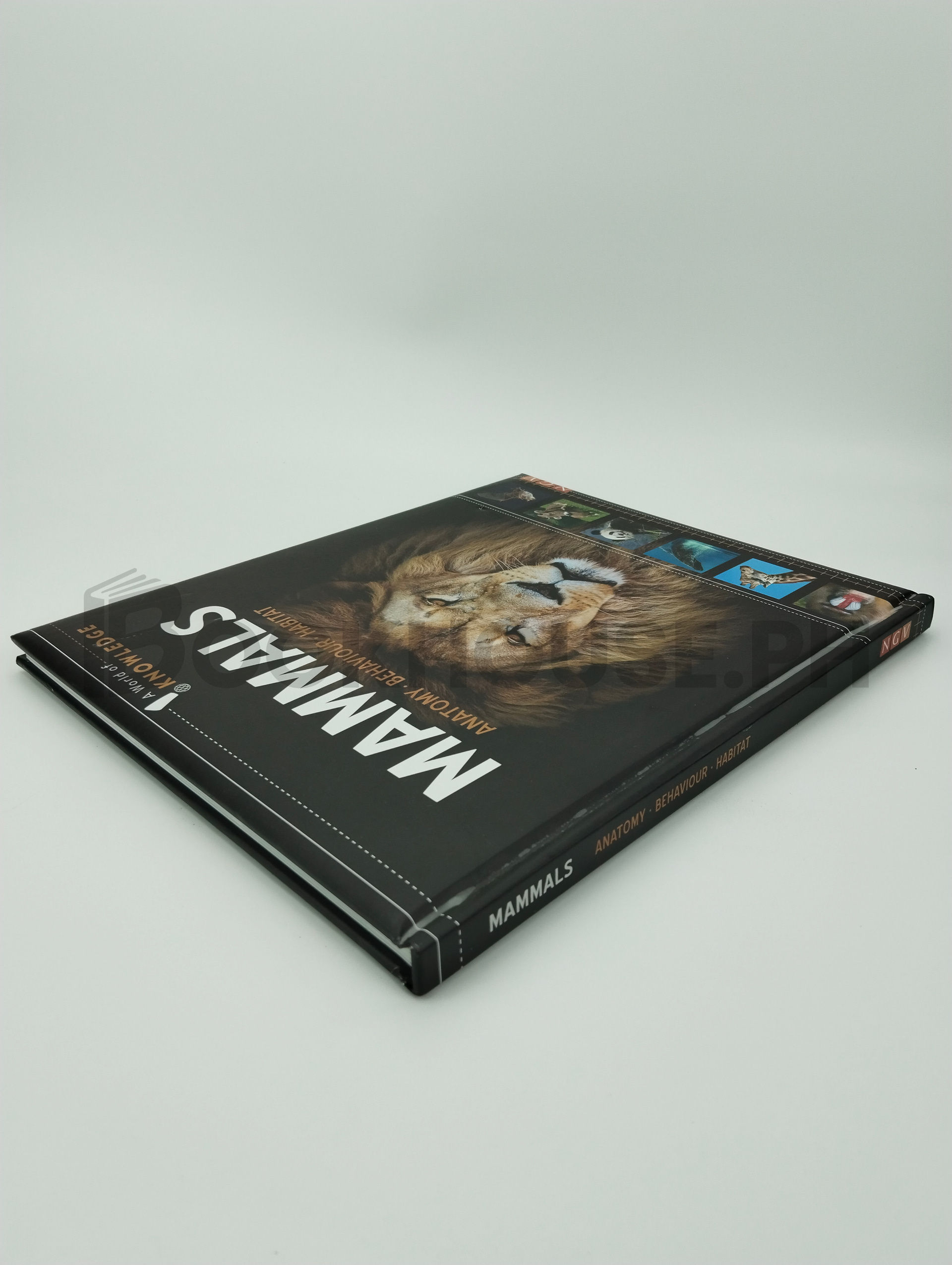 Mammals Anatomy, Behaviour, Habitat by Ngv - Image 2