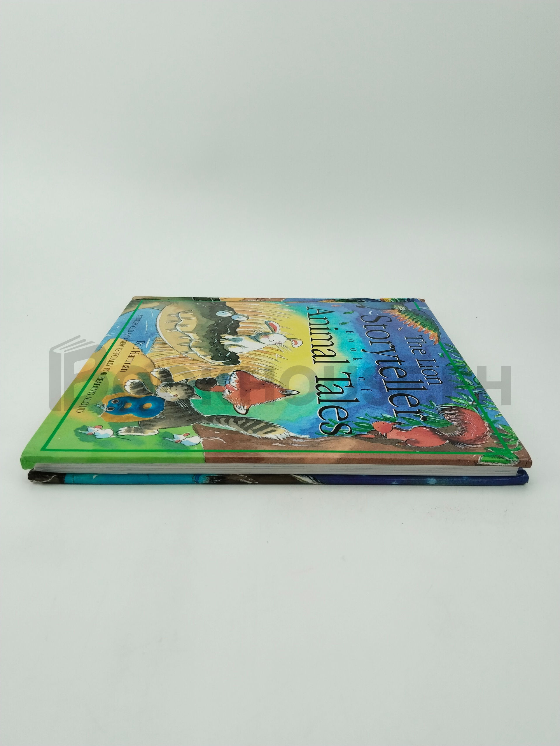 The Lion Storyteller Book Of Animal Tales by Bob Hartman, Susie Poole - Image 4