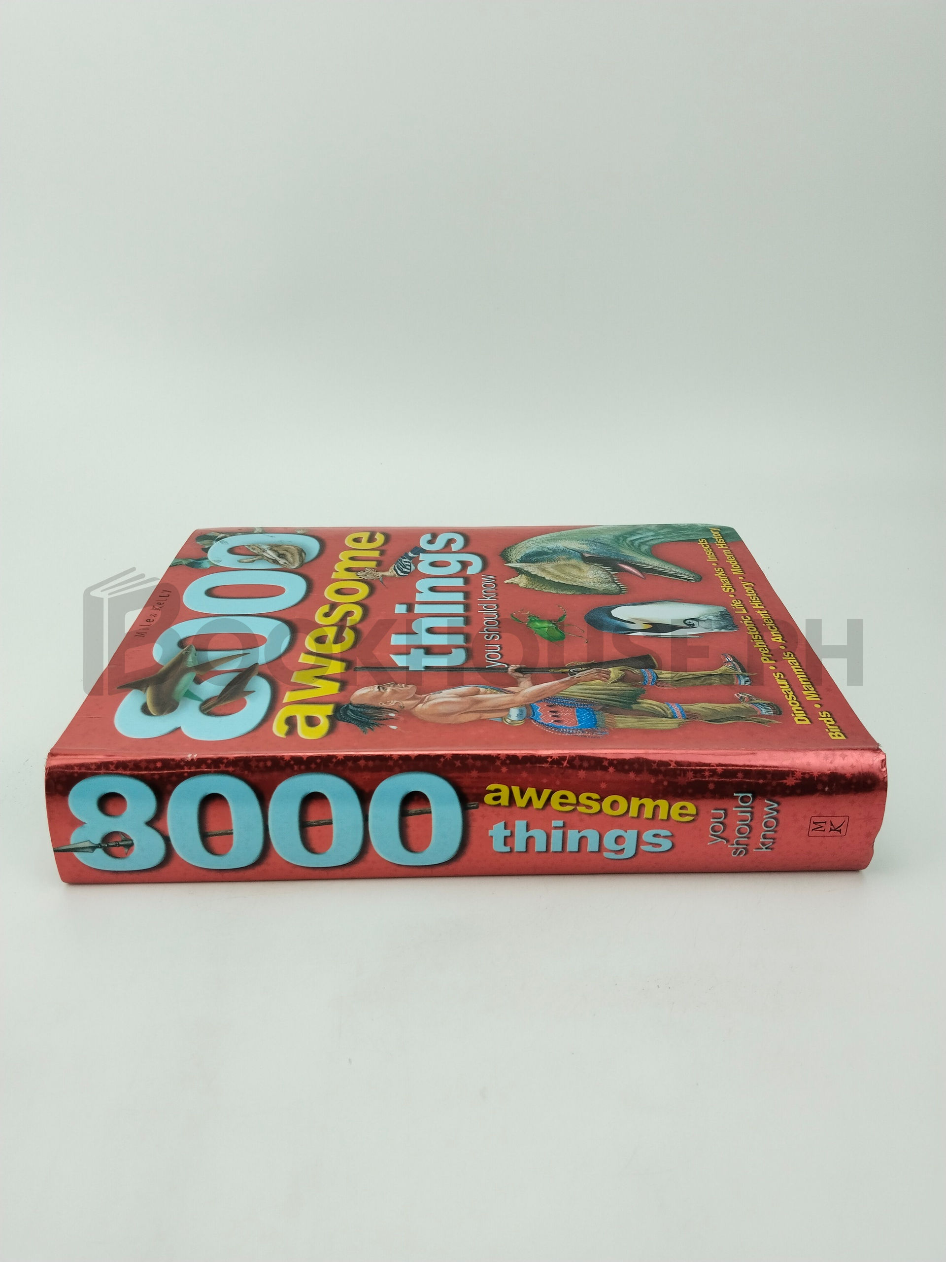 8000 Awesome Things You Should Know by Miles Kelly - Image 3