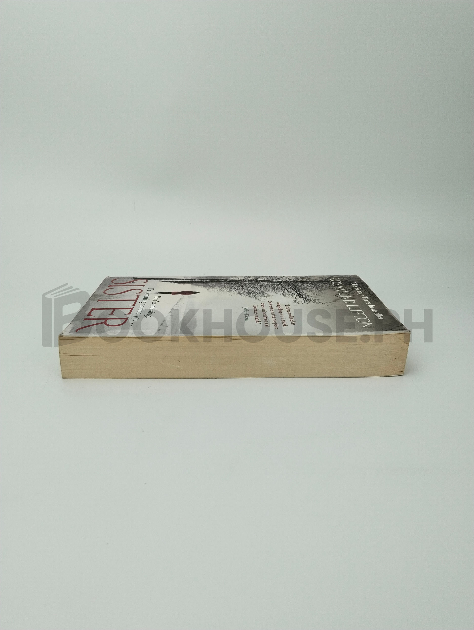 Sister by Rosamund Lupton - Image 4