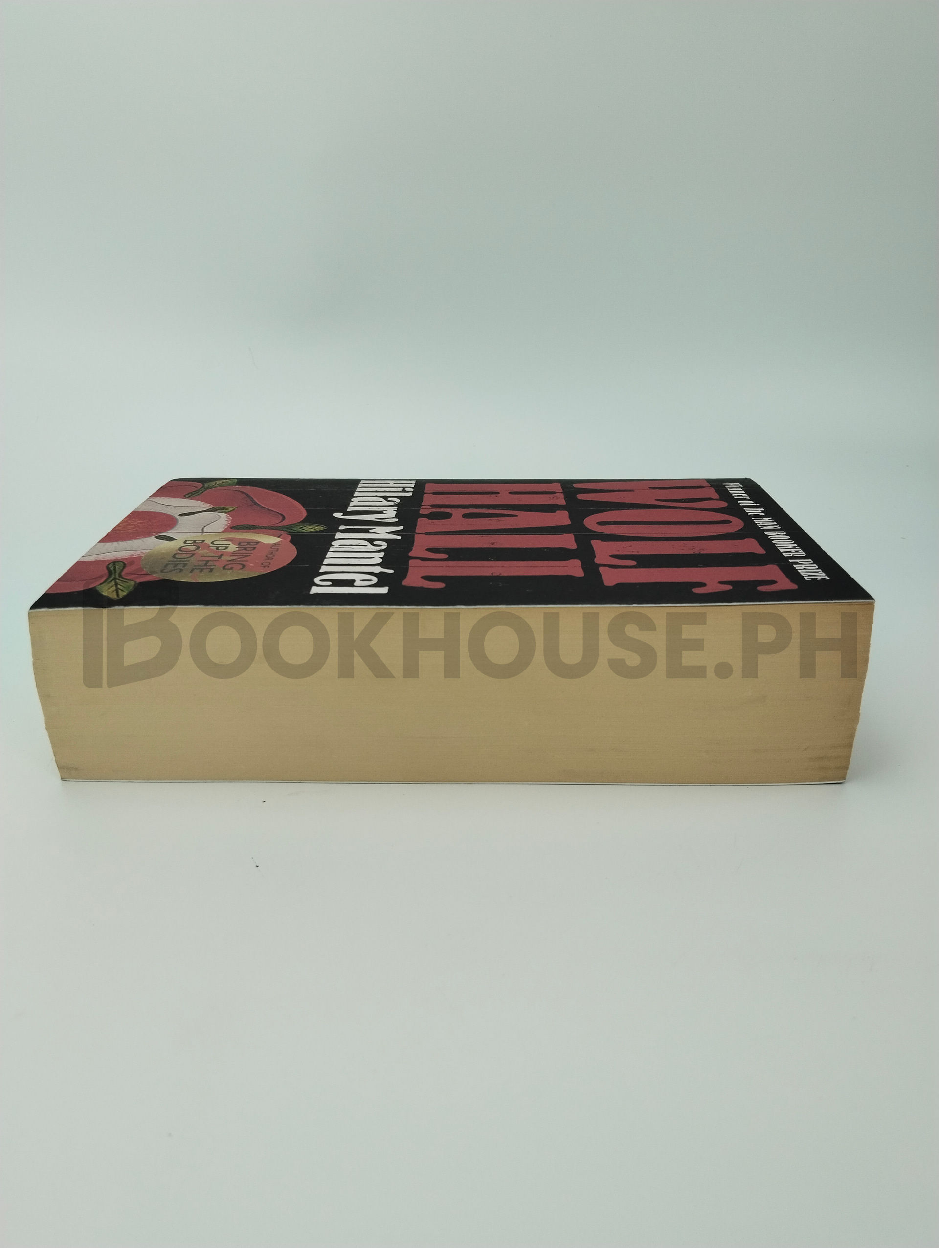 Wolf Hall by Hilary Mantel - Image 4