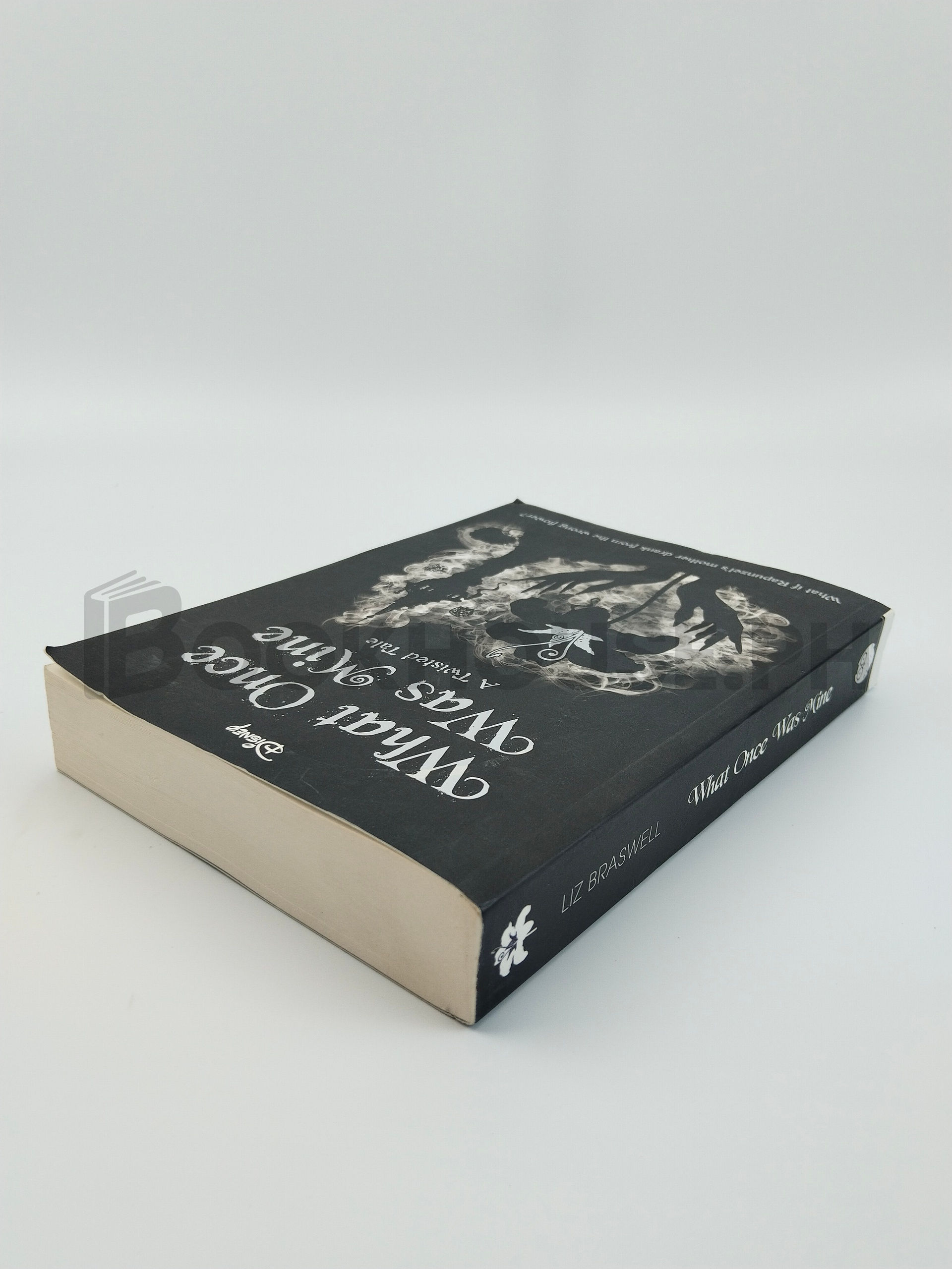 Disney Princess Rapunzel: What Once Was Mine by Liz Braswell - Image 2