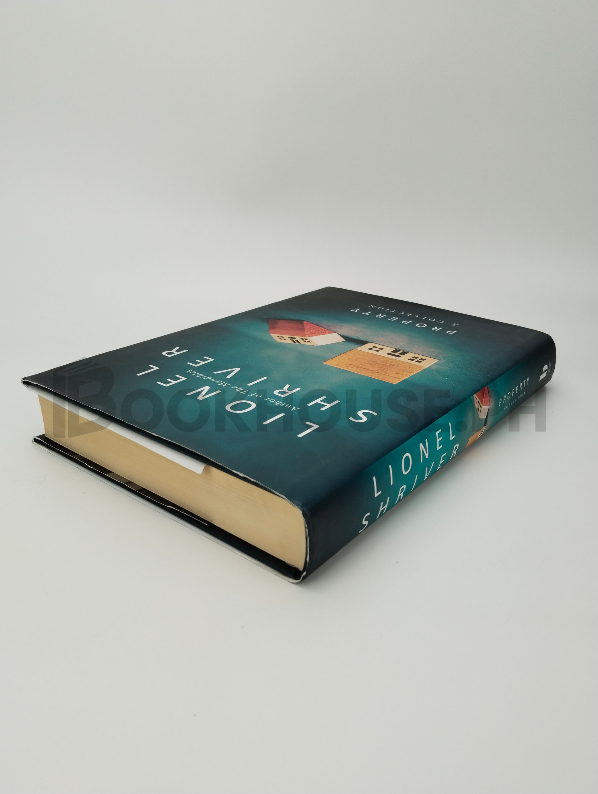 Property by Lionel Shriver - Image 2