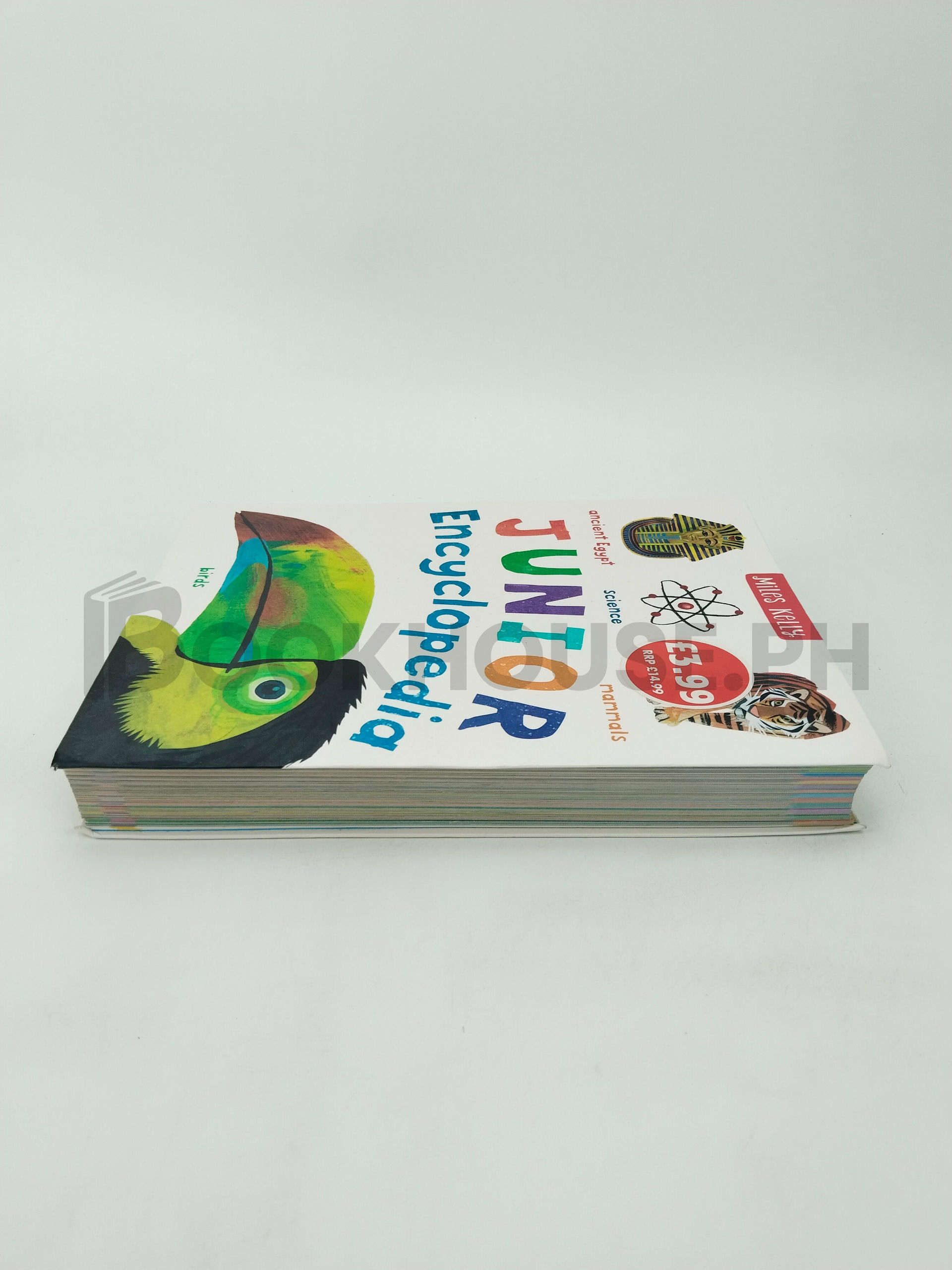 Junior Encyclopedia by Amanda Askew, Fran Bromage - Image 4