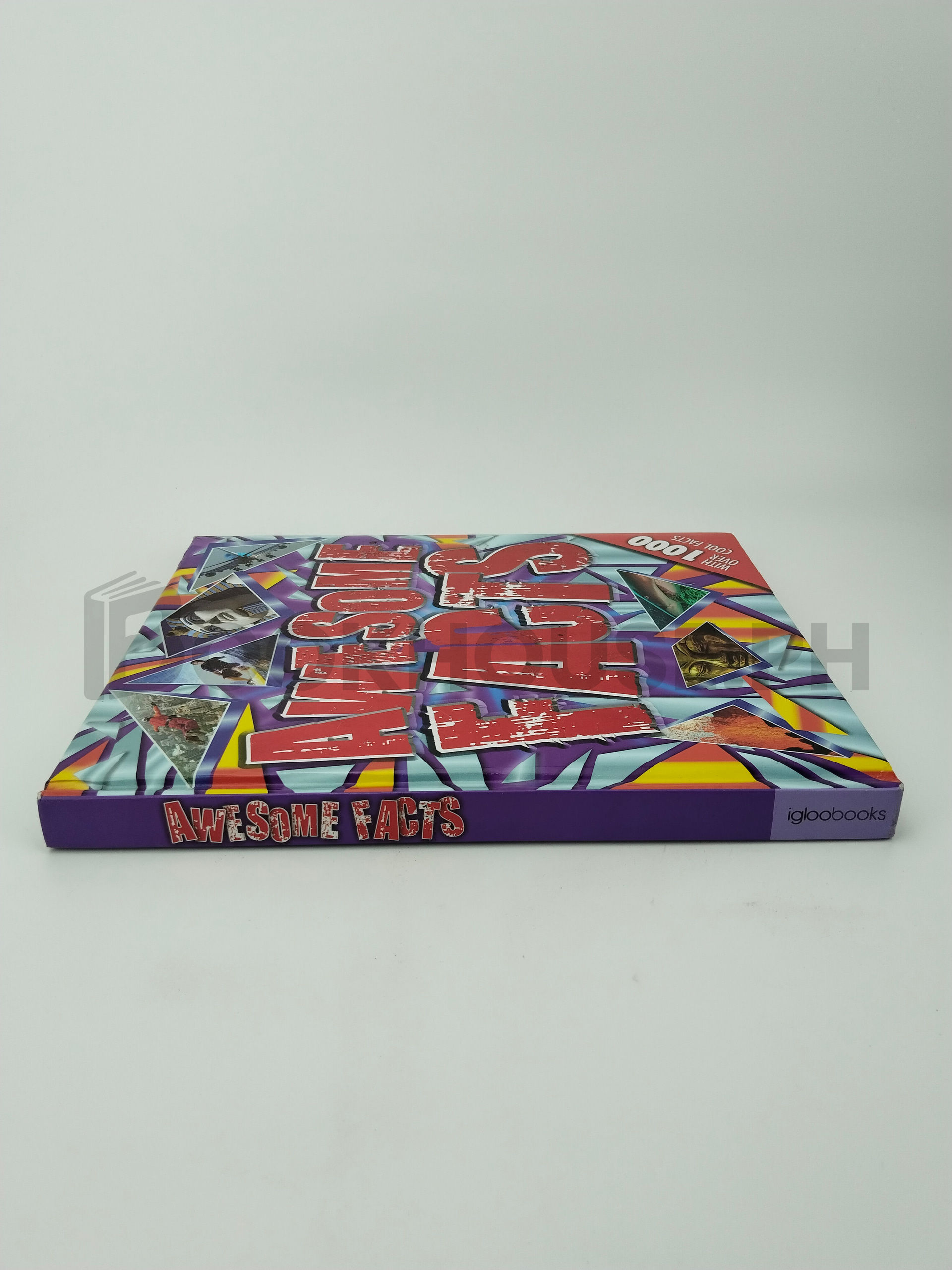 Awesome Facts by Igloo Books Ltd - Image 3