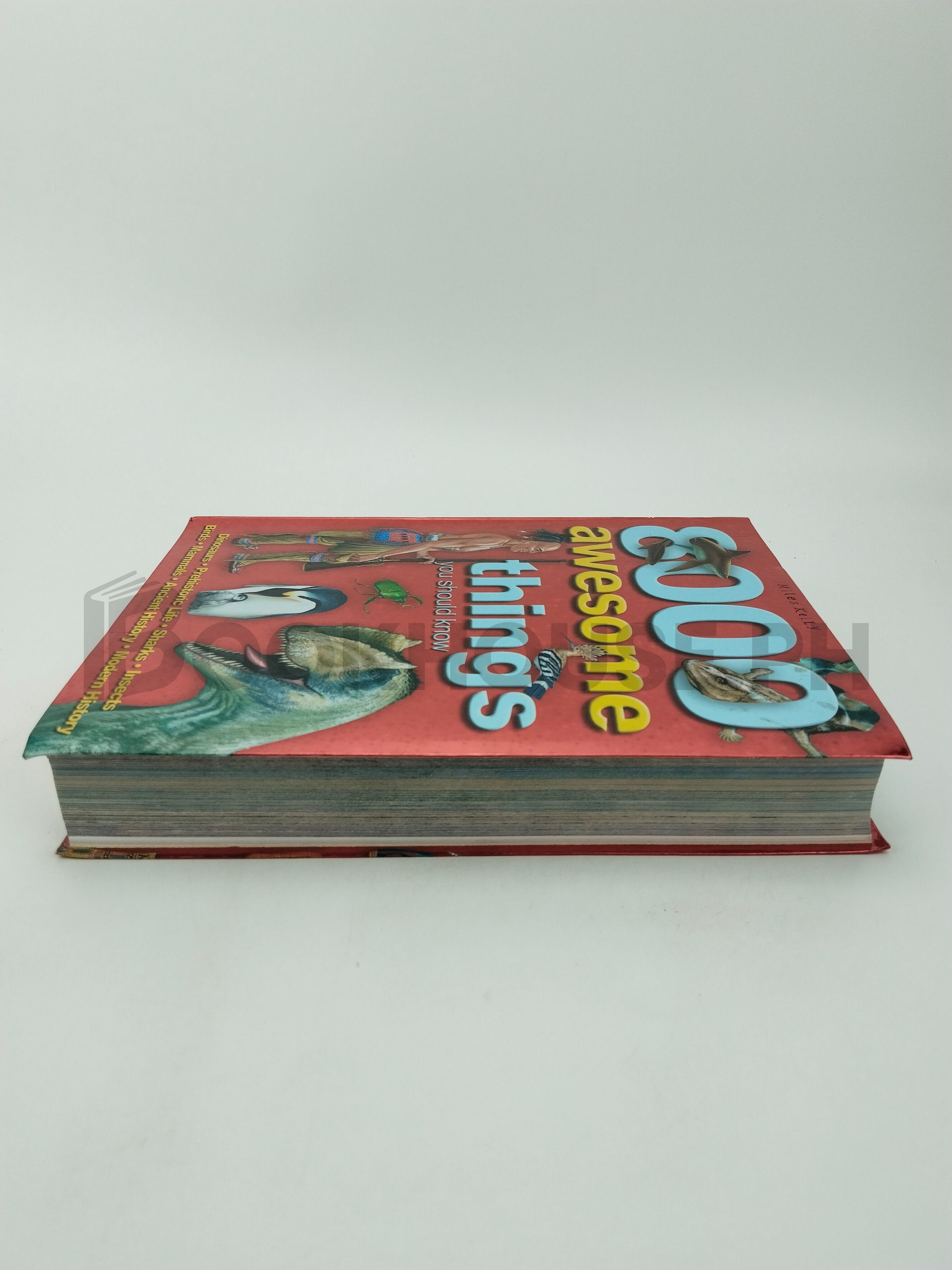 8000 Awesome Things You Should Know by Miles Kelly - Image 4