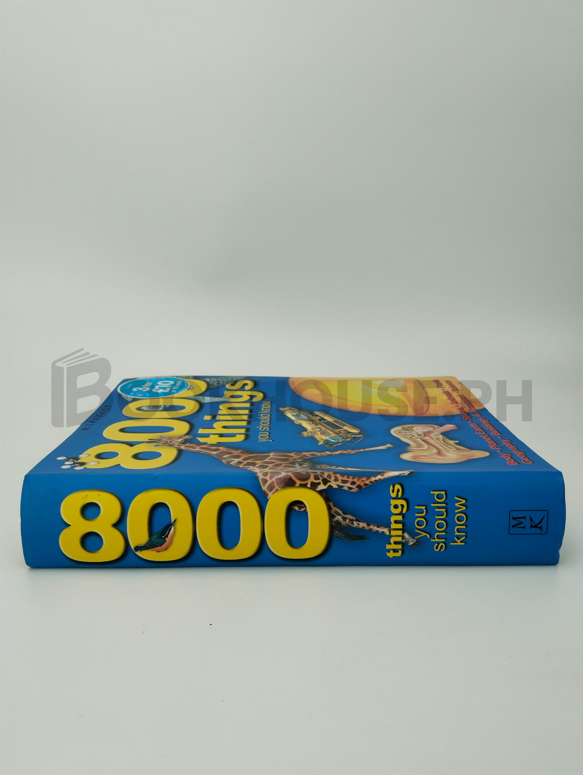 8000 Things You Should Know by Belinda Gallagher, Miles Kelly Publishing - Image 3