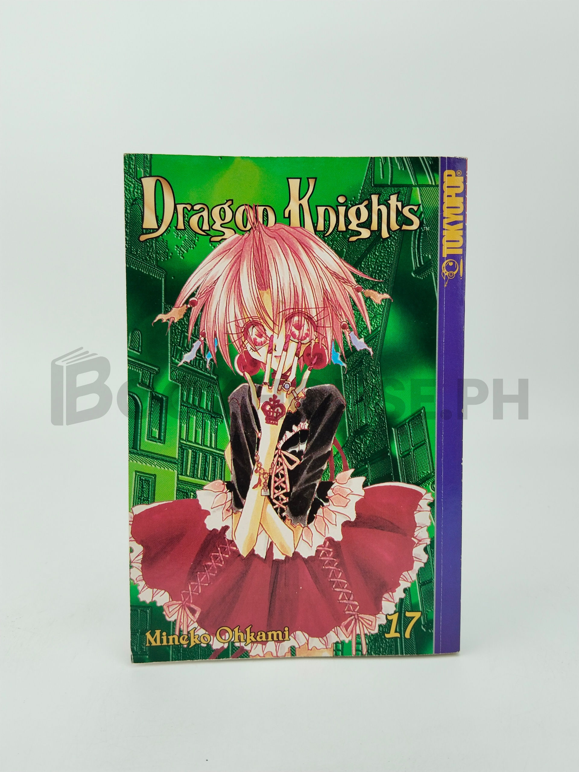 Dragon Knights 17 by Mineko Ohkami