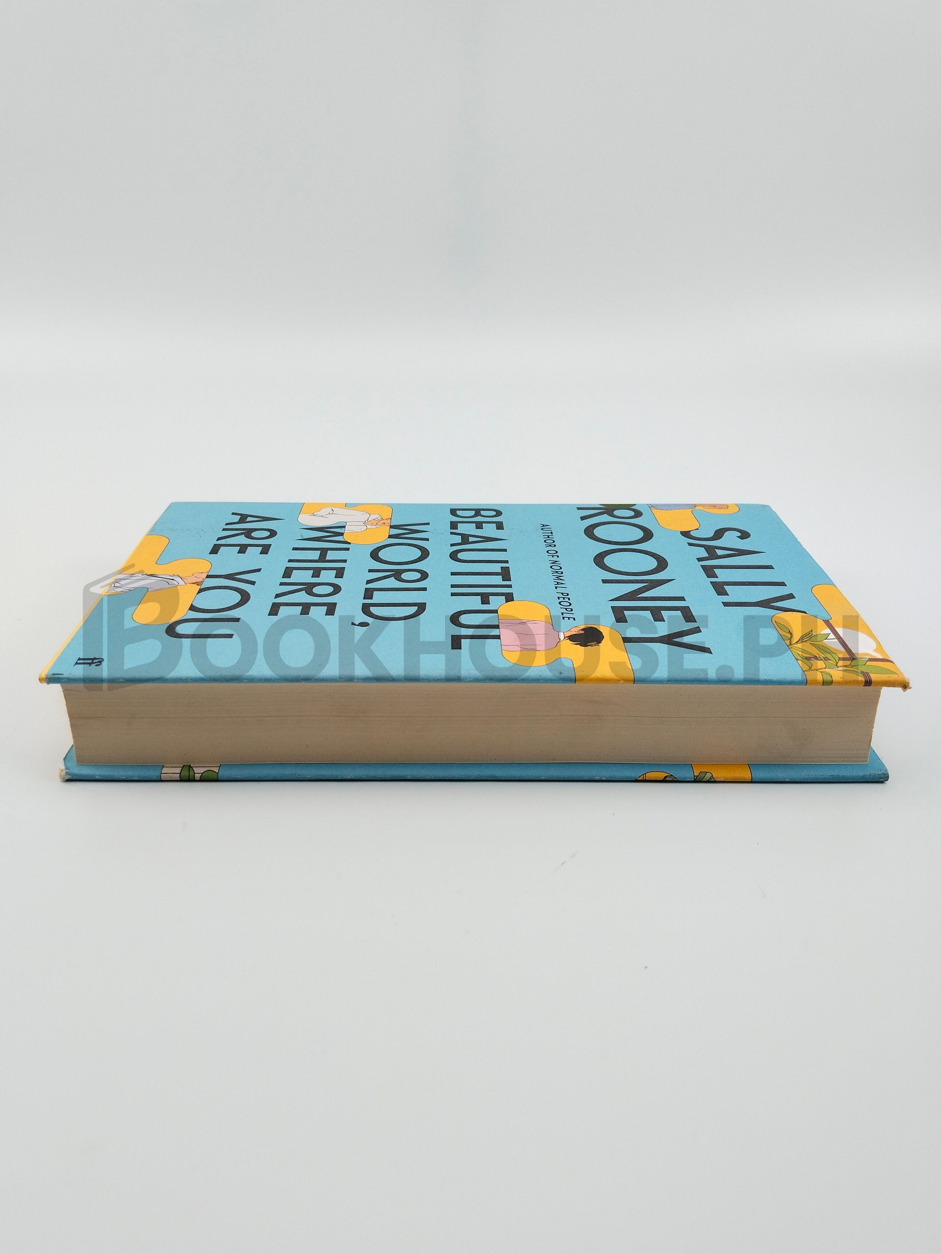 Beautiful World, Where Are You by Sally Rooney - Image 4