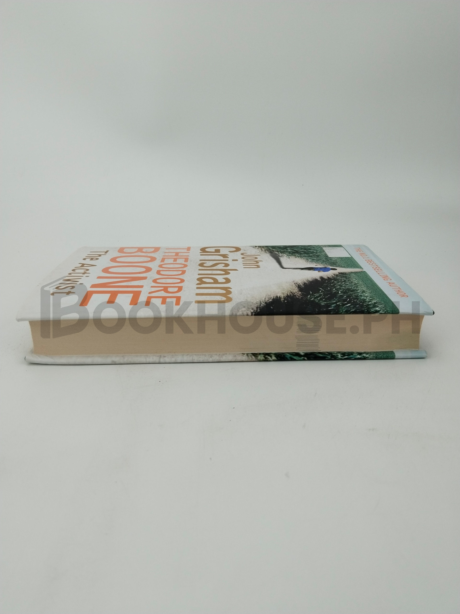 The Activist by John Grisham - Image 4