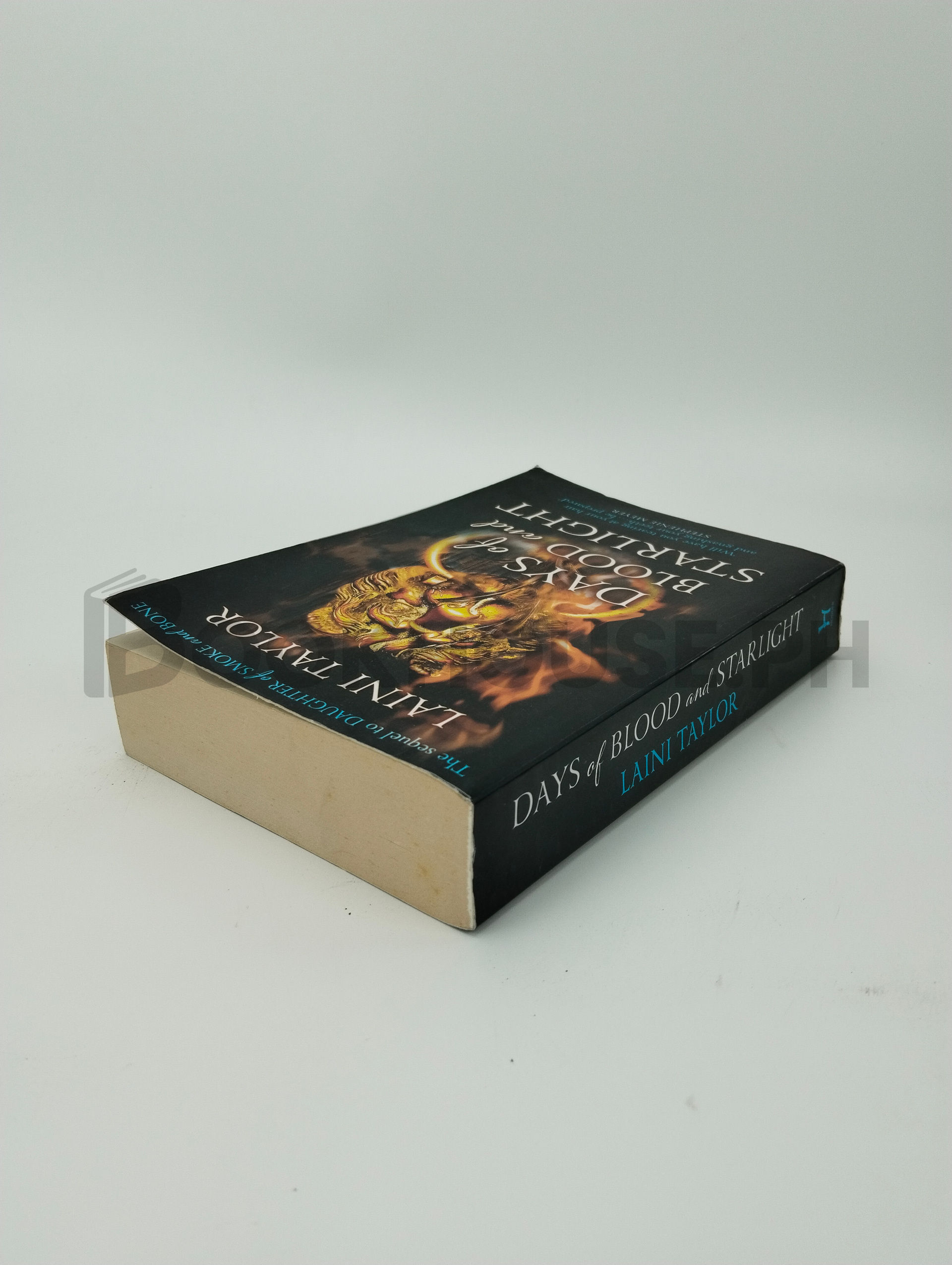 Days Of Blood And Starlight by Laini Taylor - Image 2