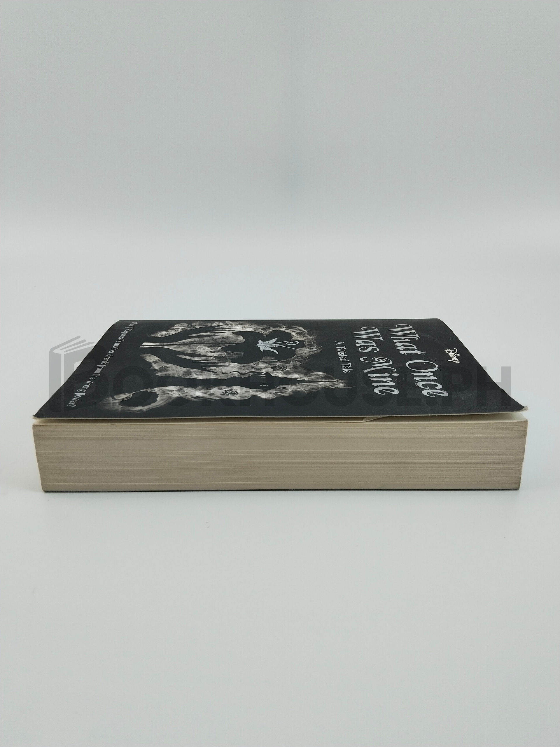 Disney Princess Rapunzel: What Once Was Mine by Liz Braswell - Image 4