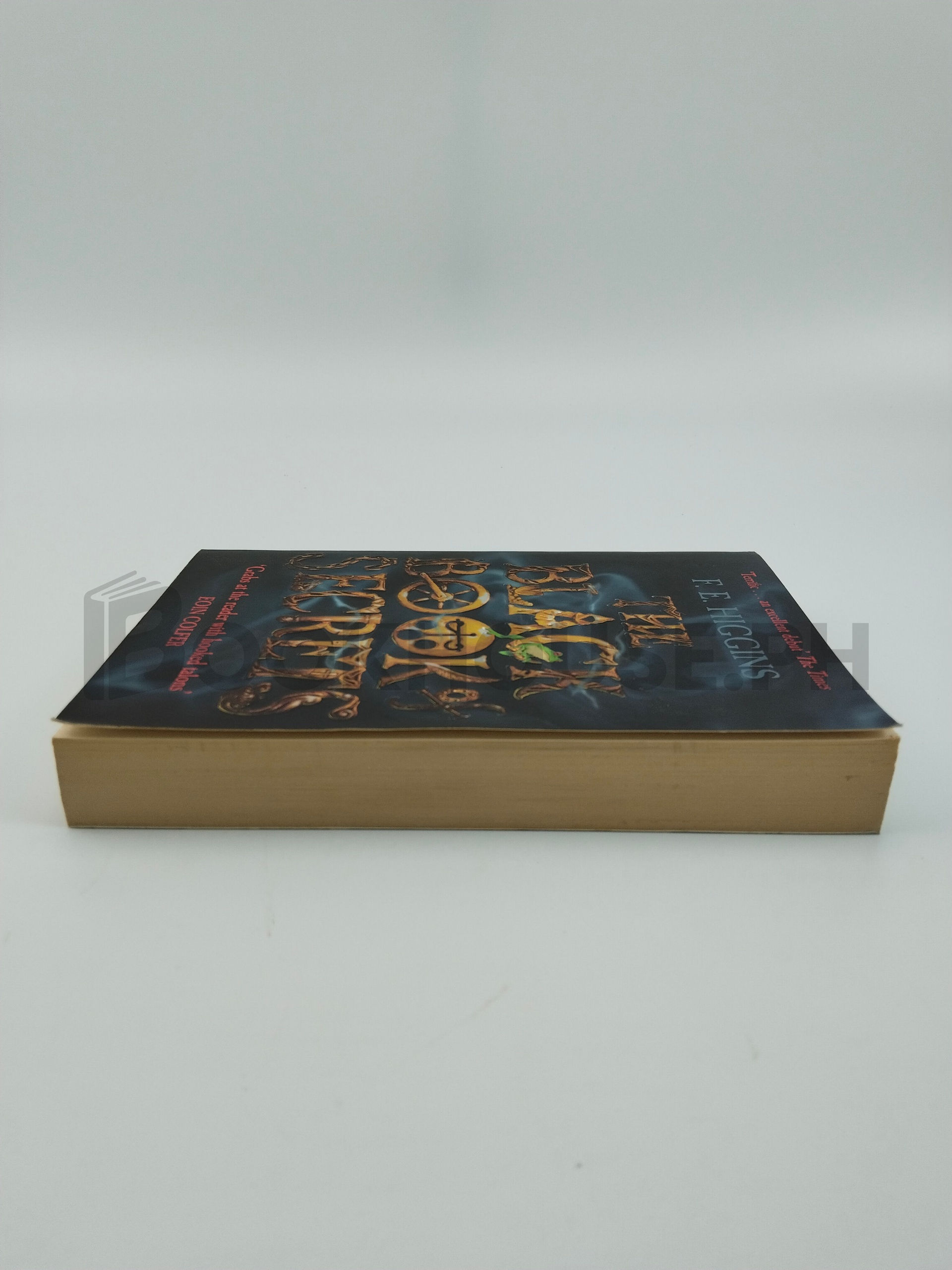 The Black Book Of Secrets by F. E. Higgins - Image 4