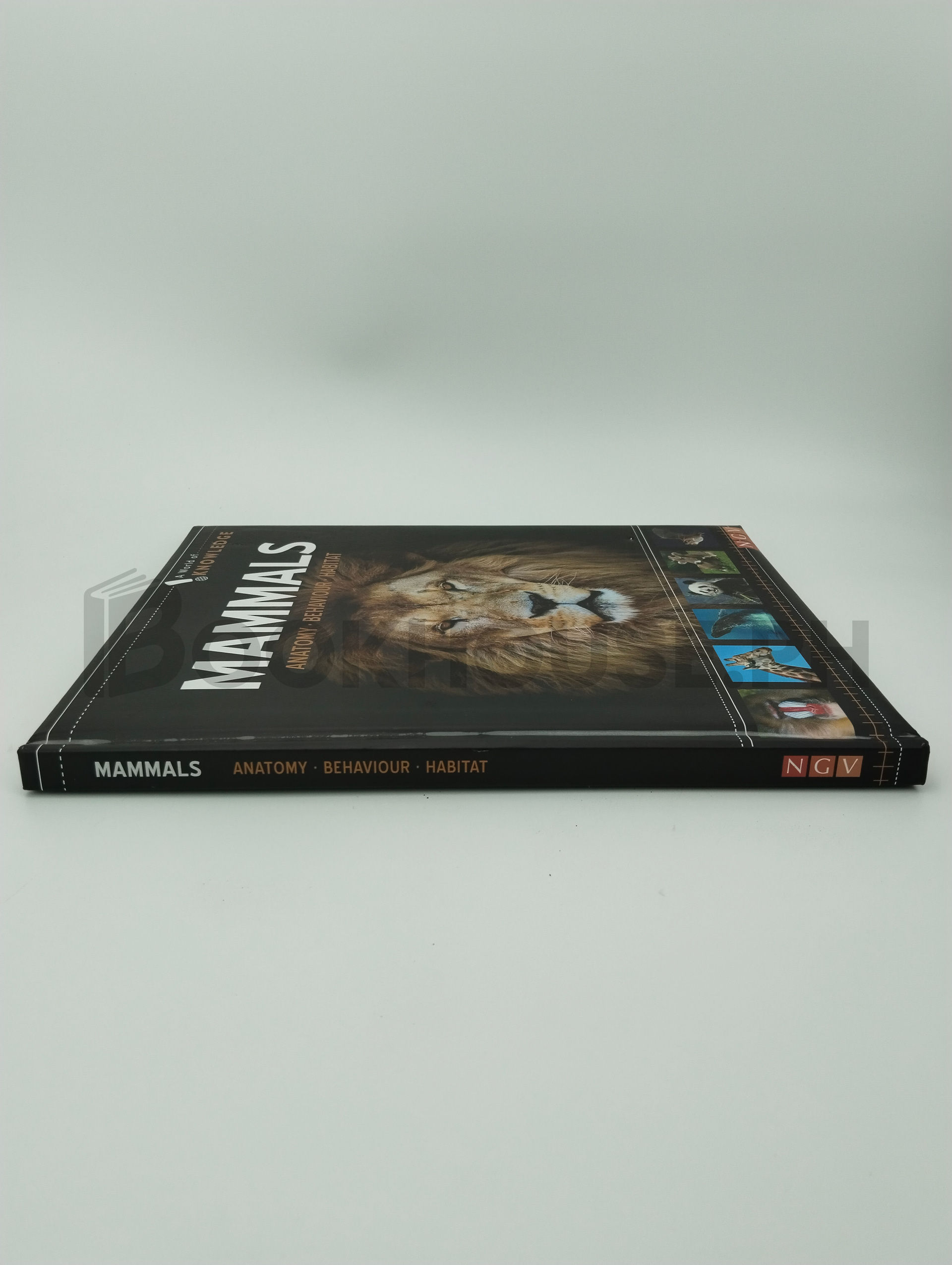 Mammals Anatomy, Behaviour, Habitat by Ngv - Image 3