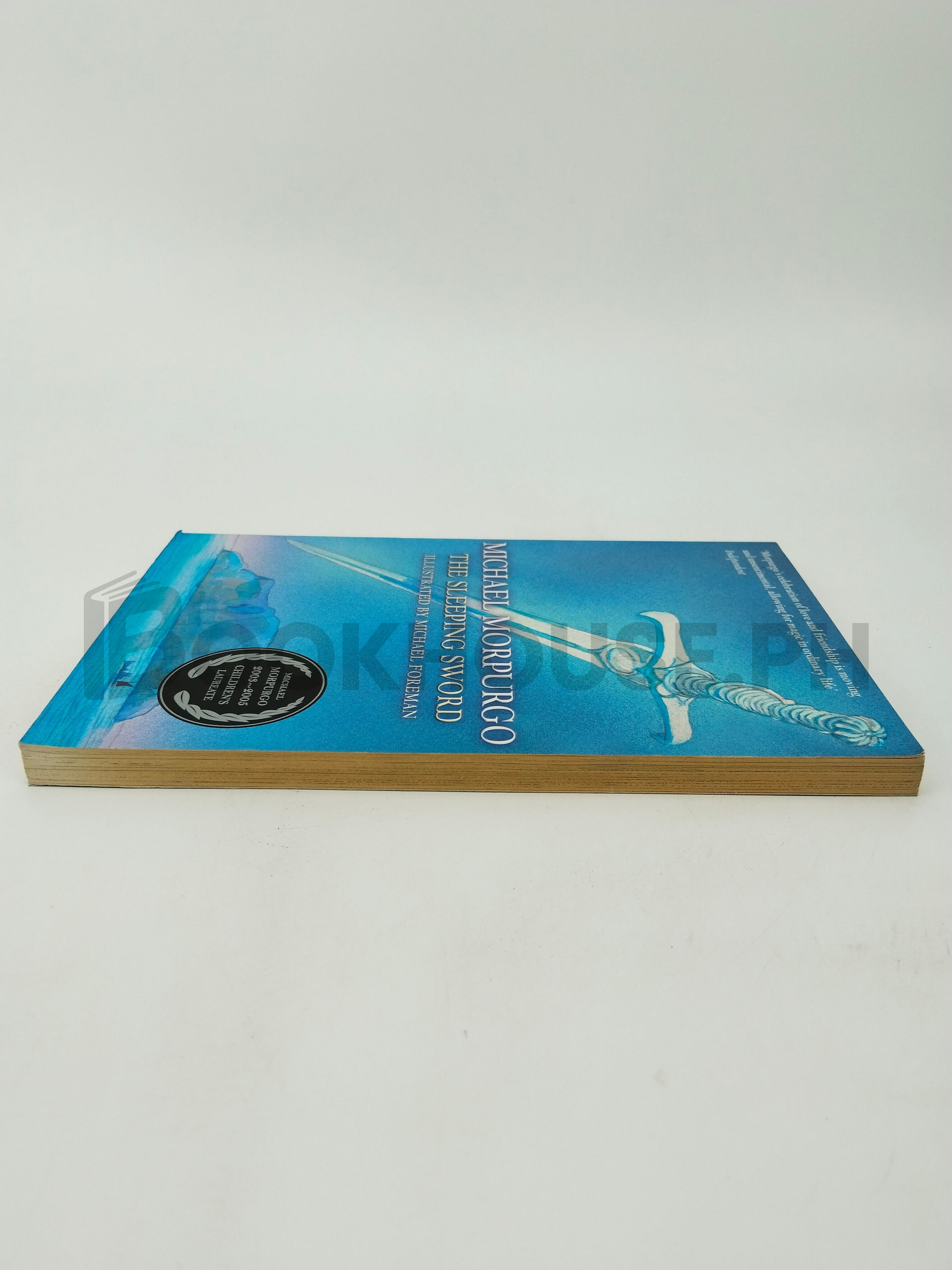 The Sleeping Sword by Michael Morpurgo - Image 4