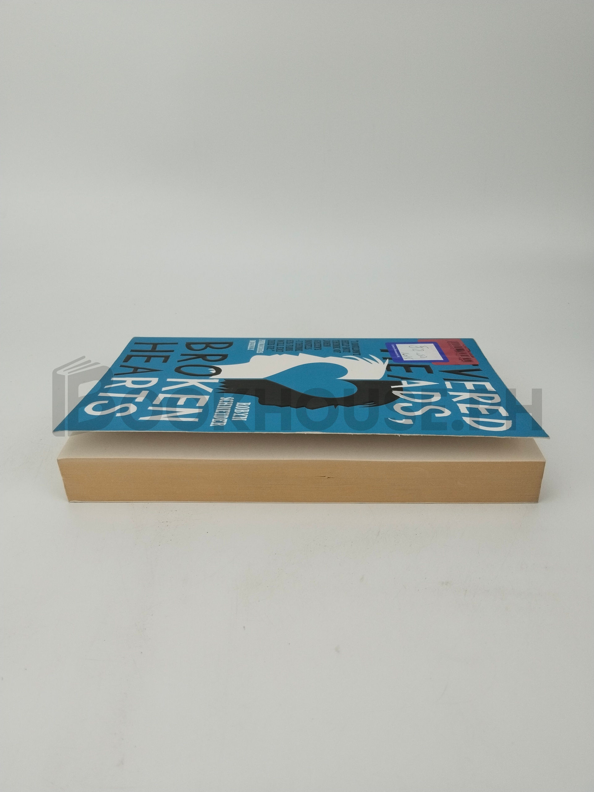 Severed Heads, Broken Hearts by Robyn Schneider - Image 4