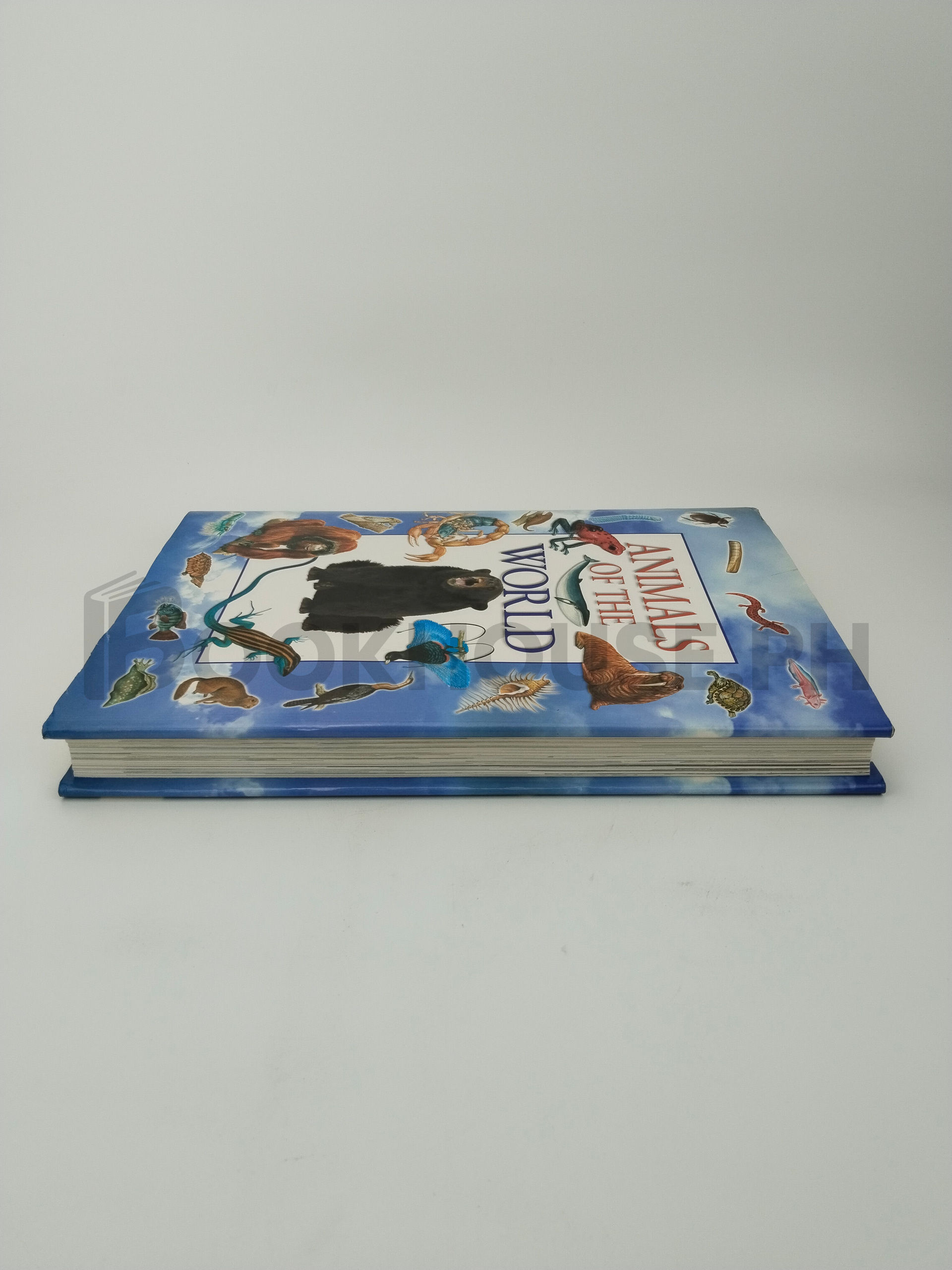 Animals Of The World by Martin Walters, Jinny Johnson - Image 4